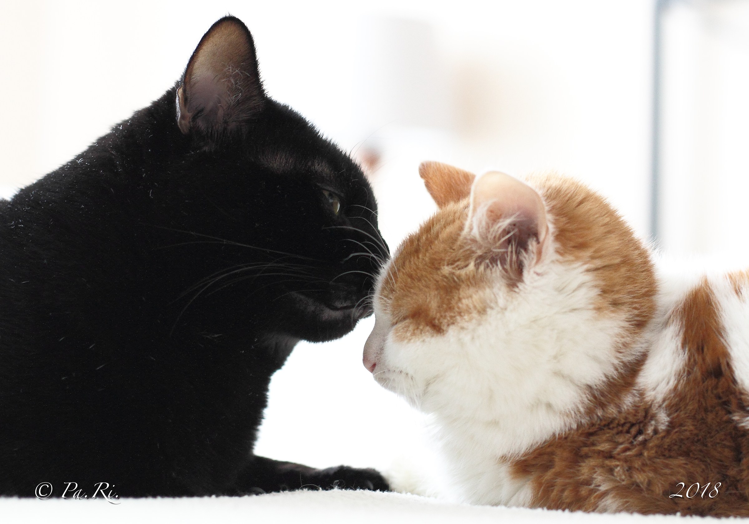 Tinge of a tenderness.