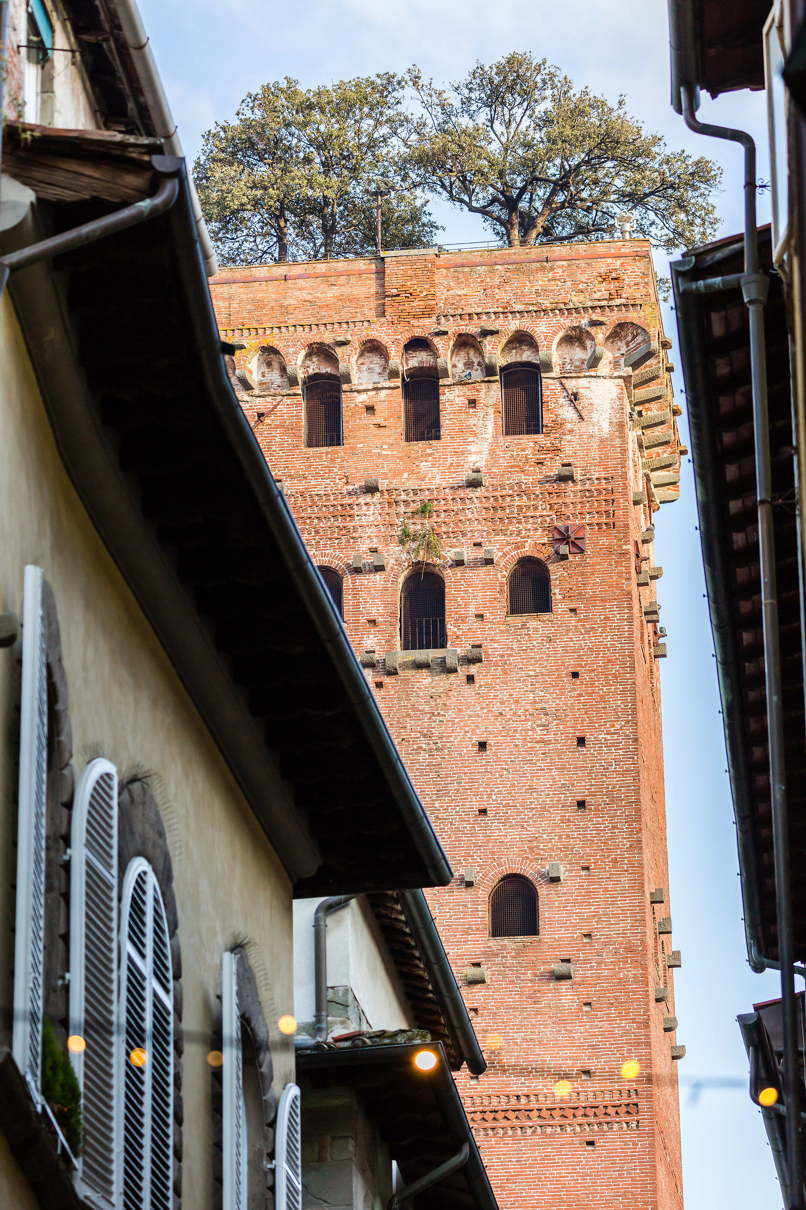 Lucca - Guinigi tower