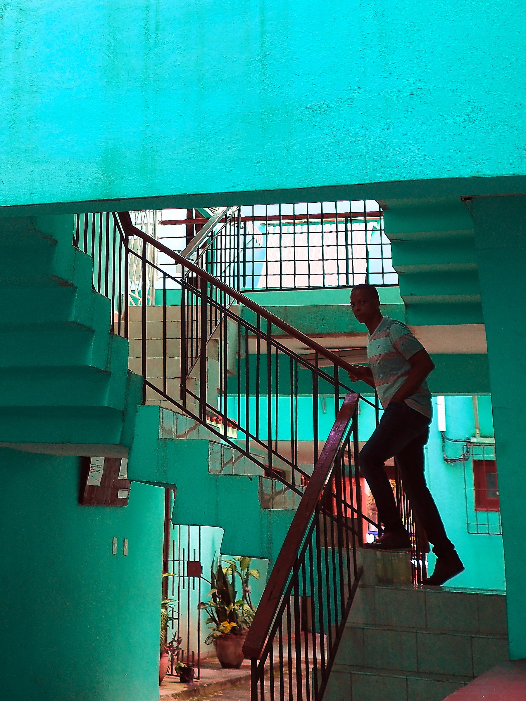 Green Strairs - Havana 10