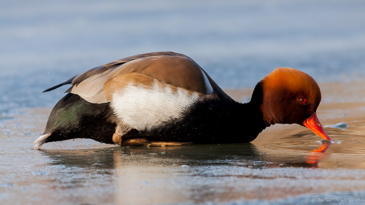 We feel a little bit how cold it is ...