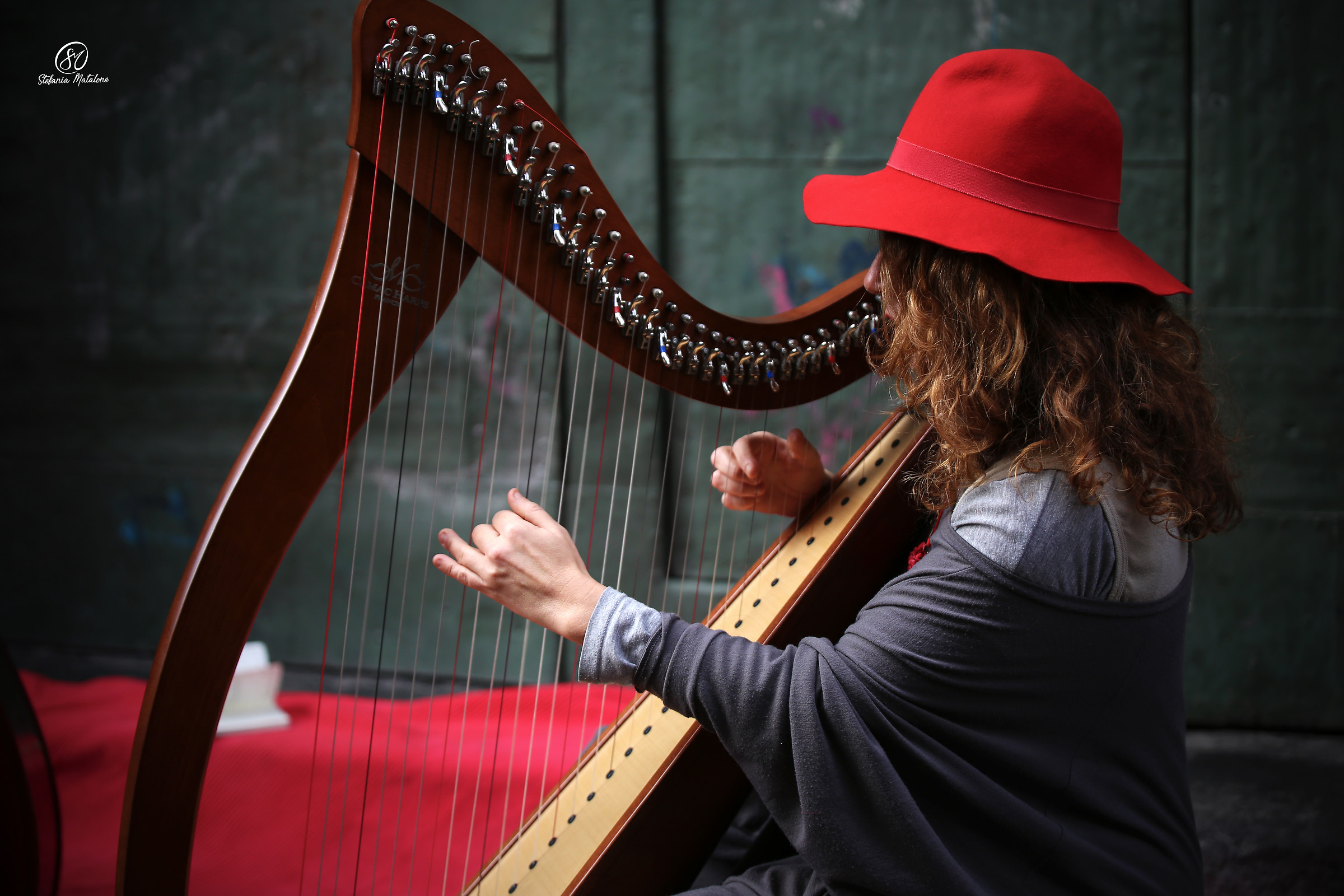Harpist