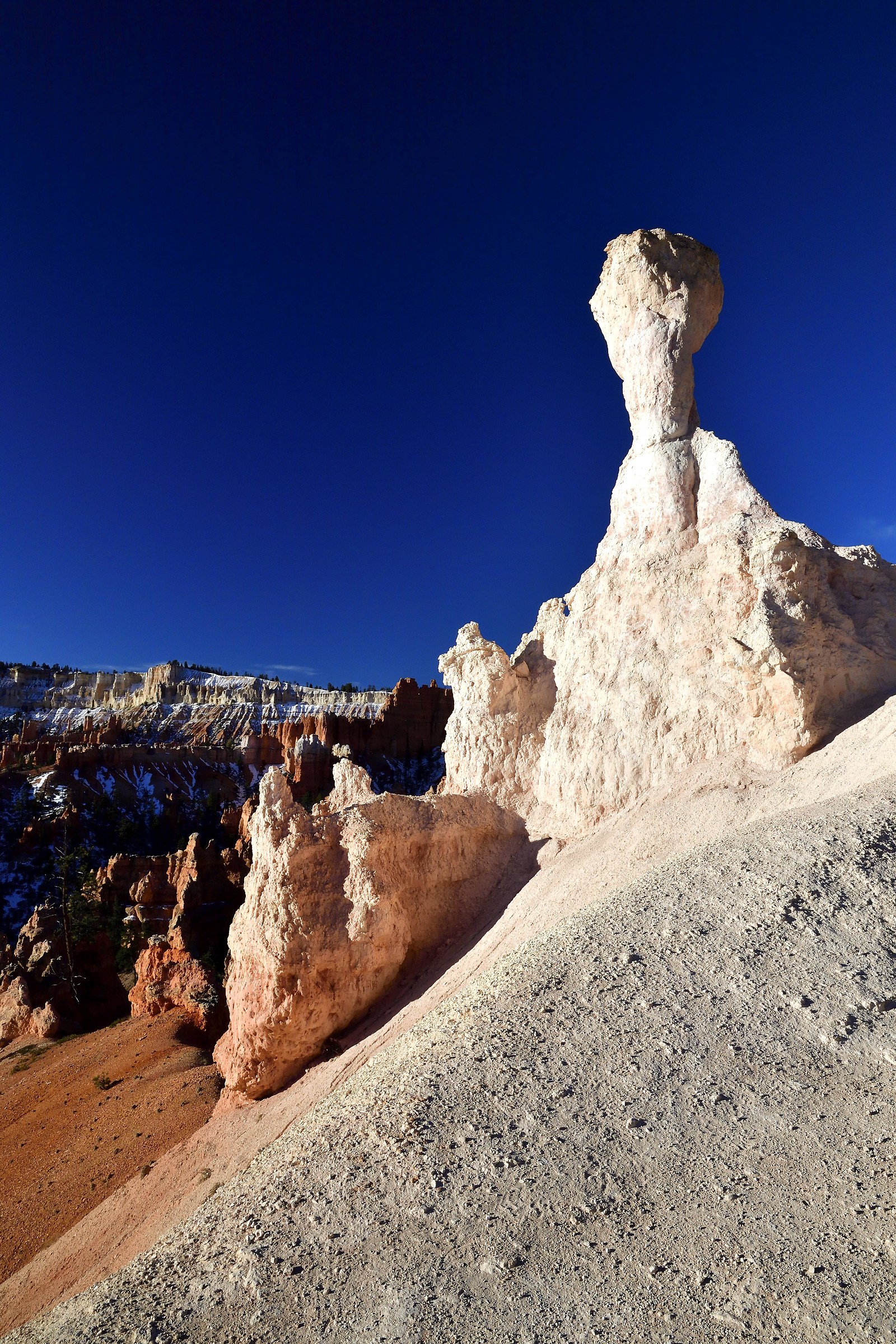 Bryce Canyon: American Gothic
