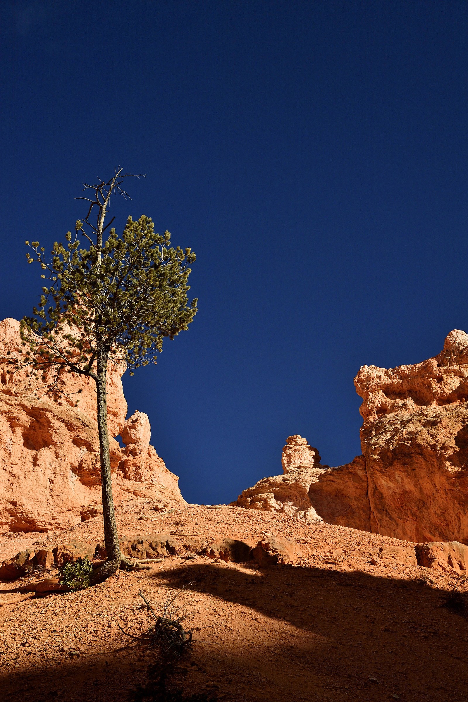 Bryce Canyon: the shadow