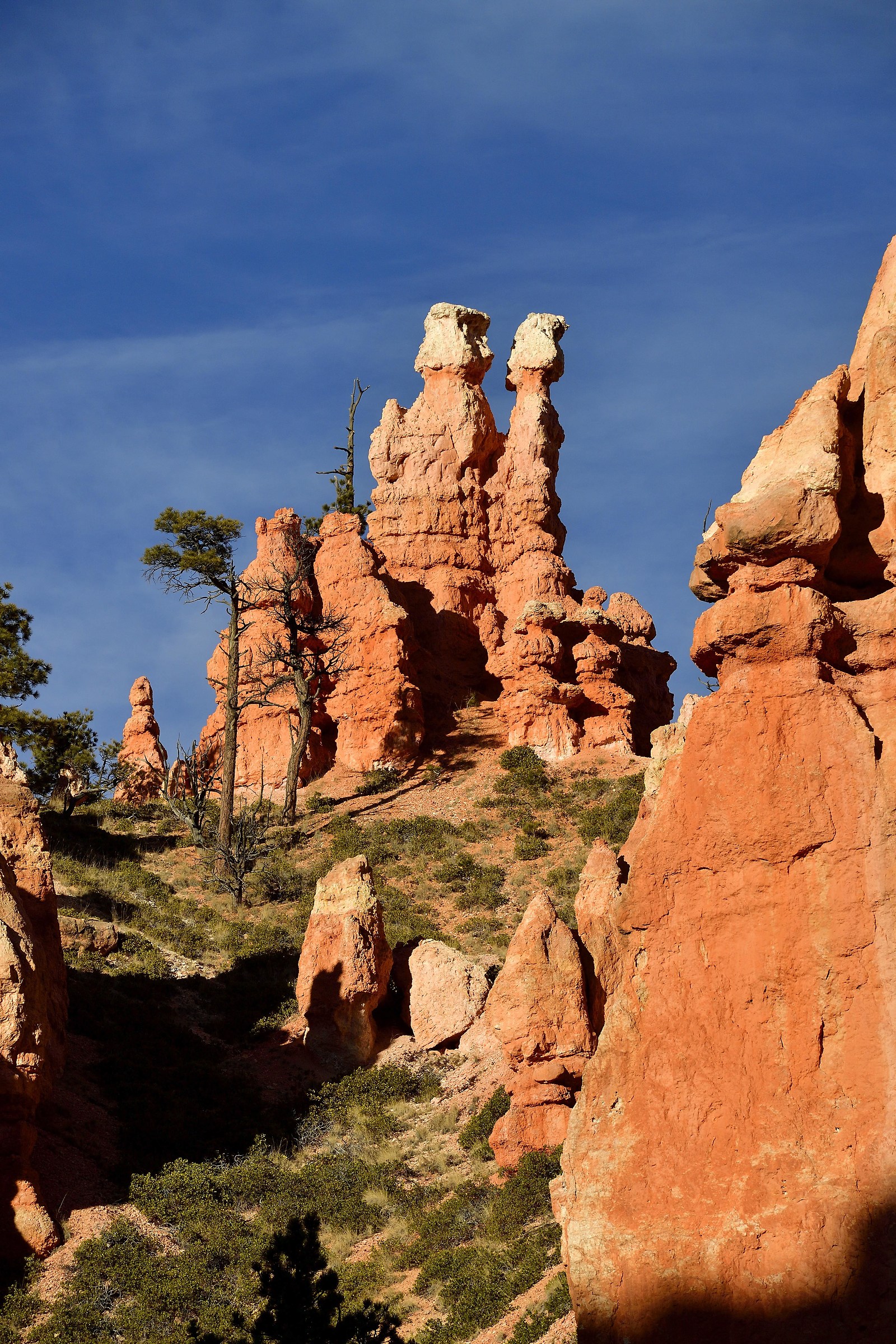 Bryce Canyon: stone sequences