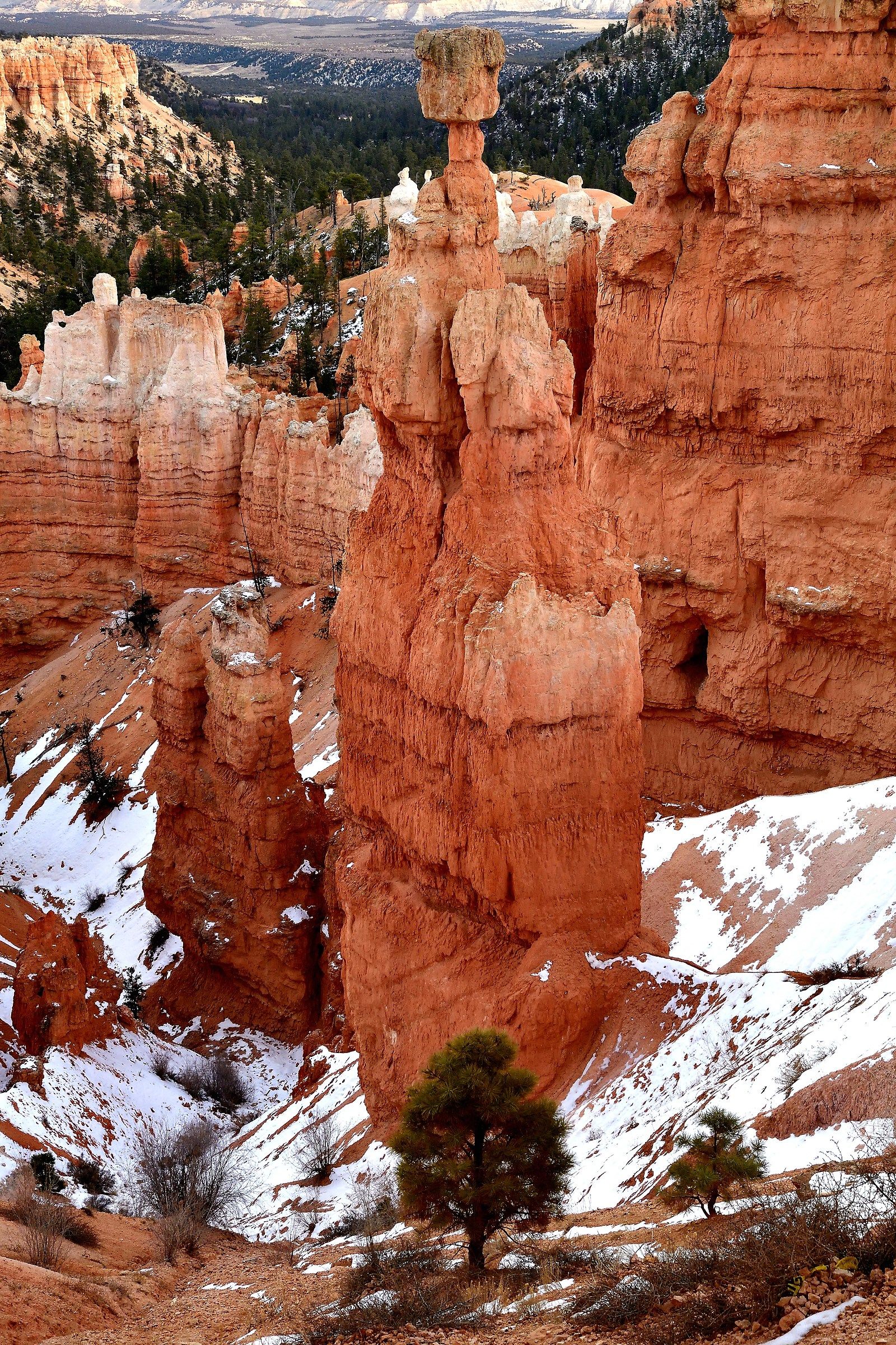 Bryce Canyon: Thor's hammer