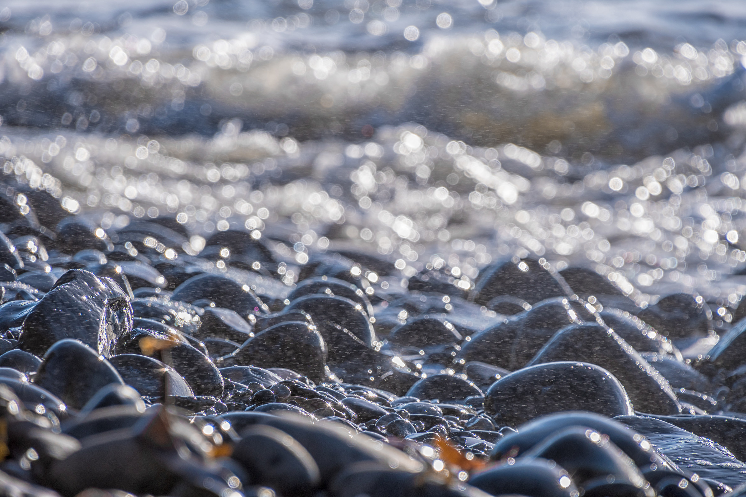 Sea Spray & Sparkles