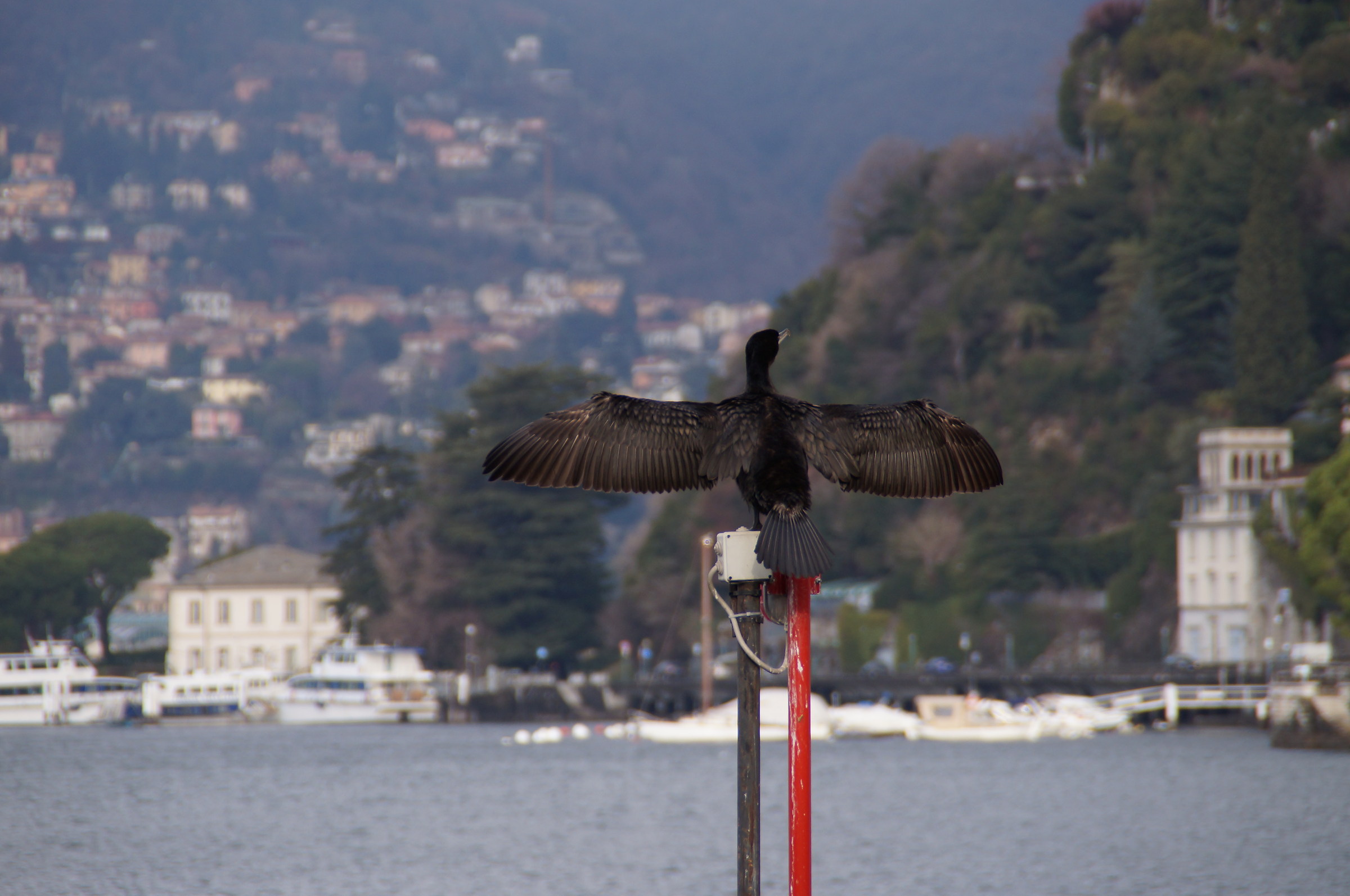 I believe i can fly !!!