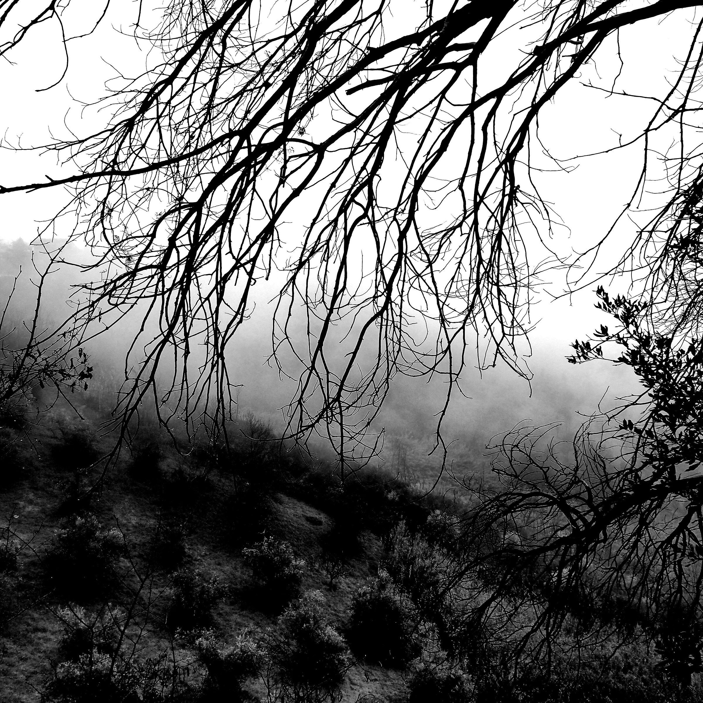 Nebbia a Morlupo oggi