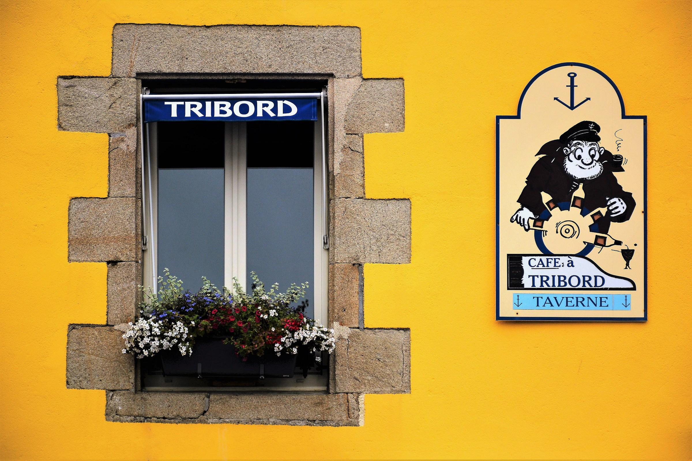 La tana dei lupi (di mare)