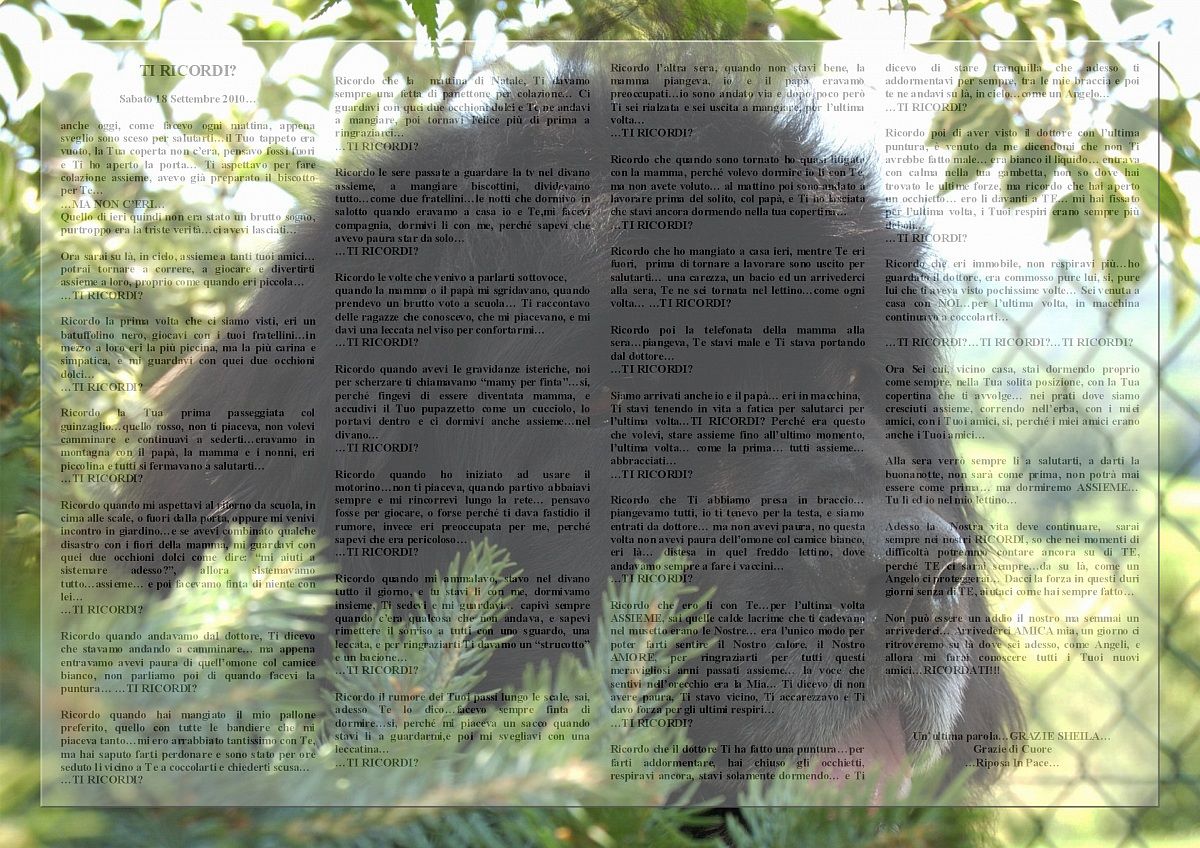 La storia di una vita insieme...