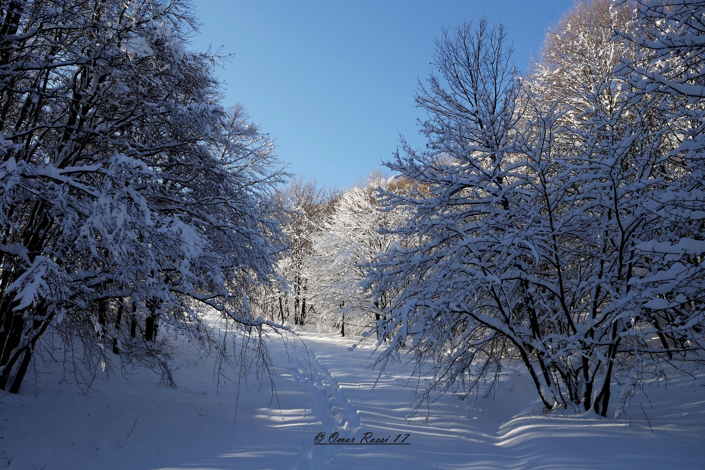 Quando finisce di nevicare