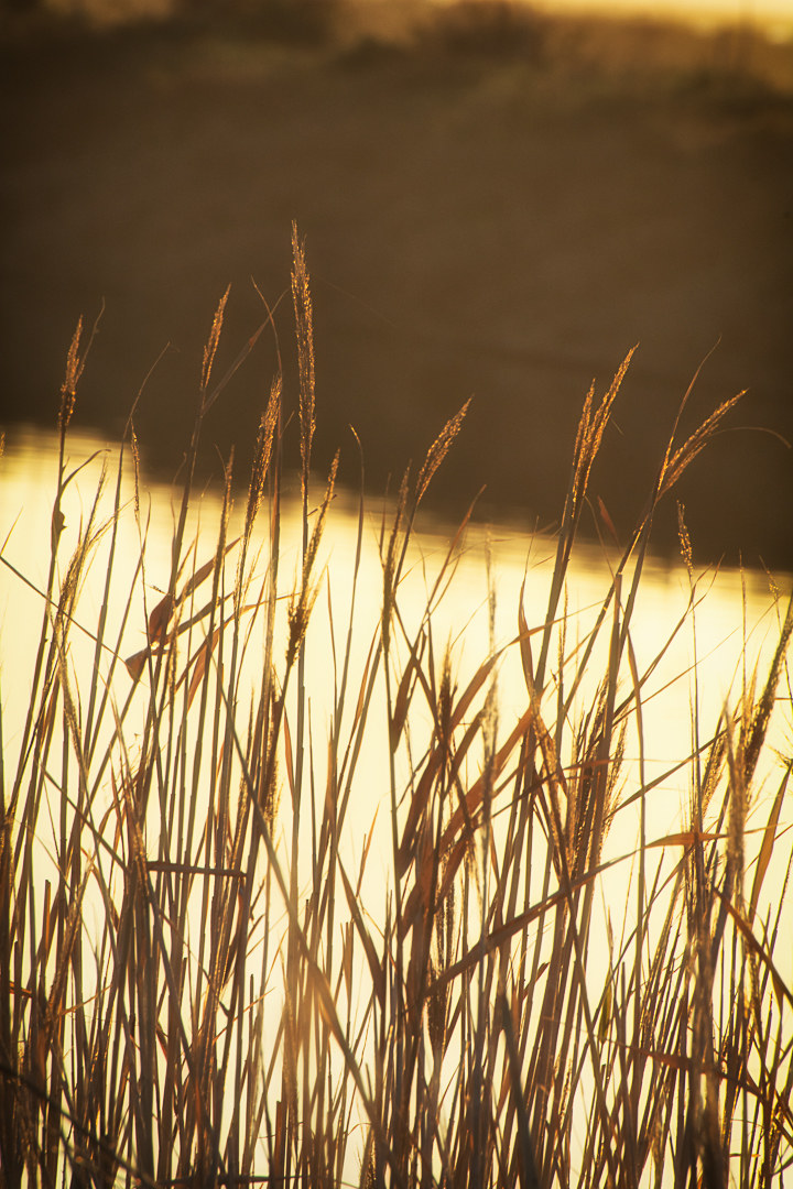 Sunset on the salt flats