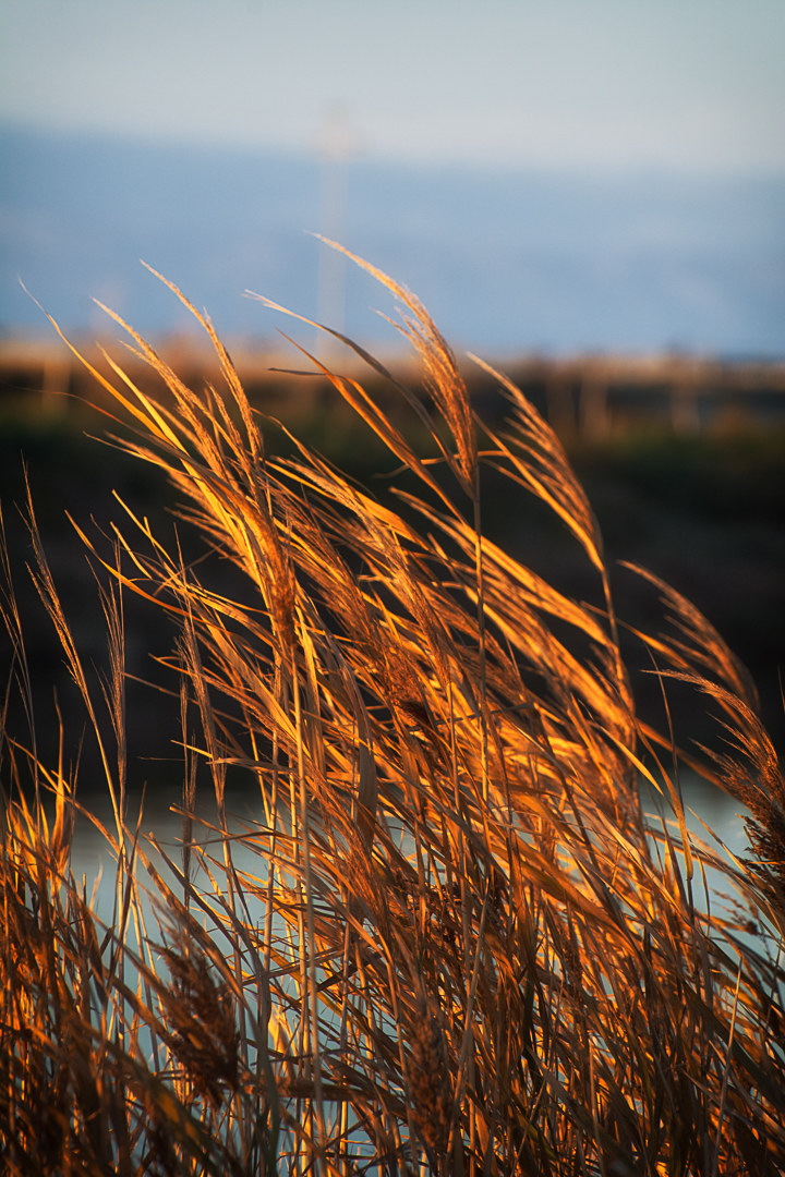 Sunset on the salt flats