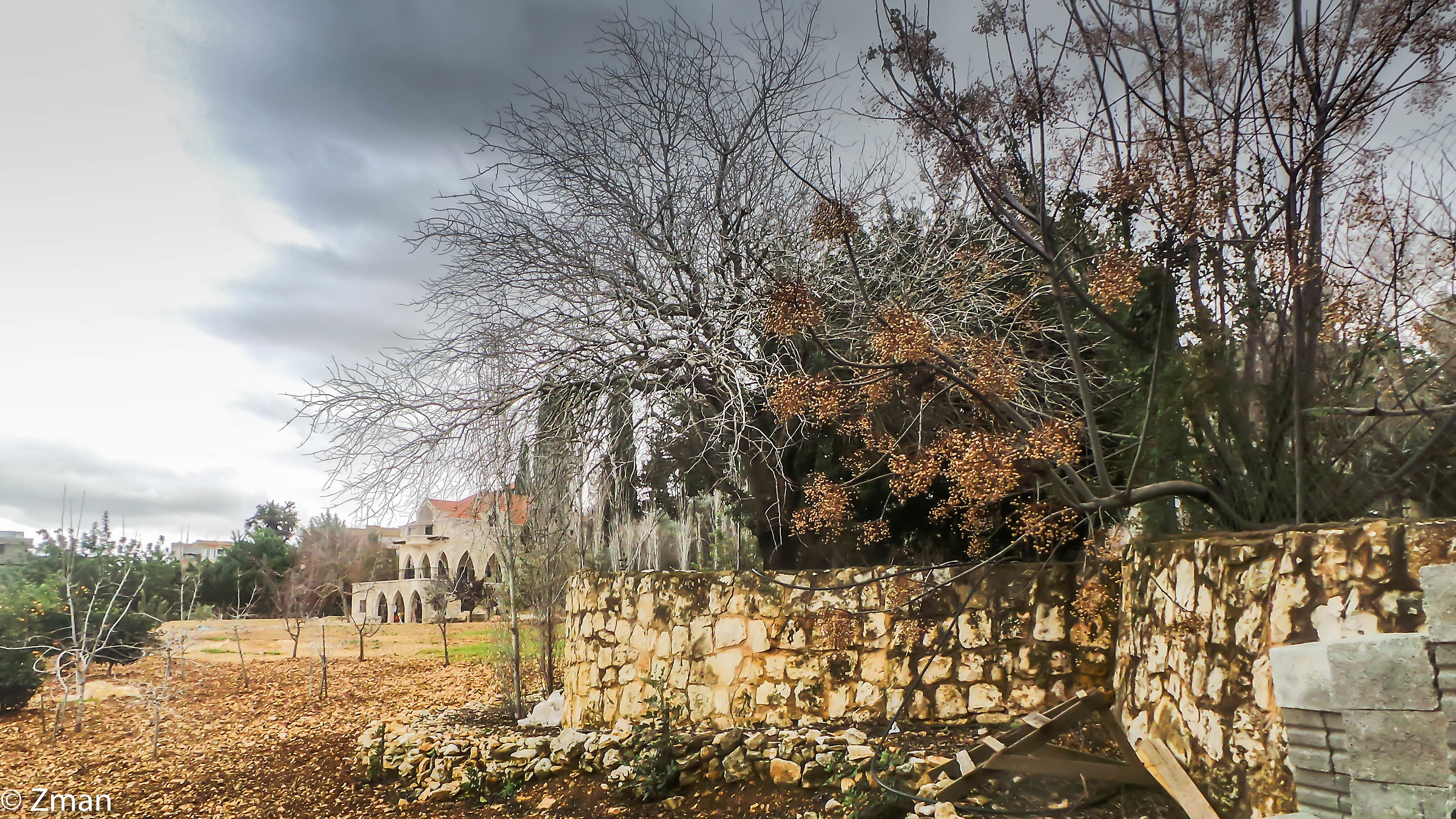 La nostra terra vicina