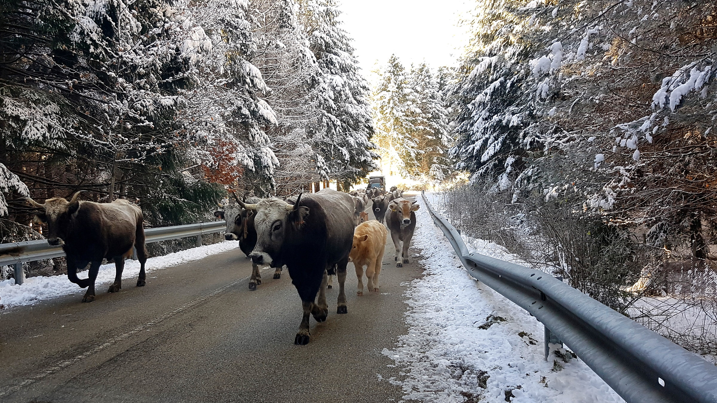 Incontro ravvicinato del 1° tipo