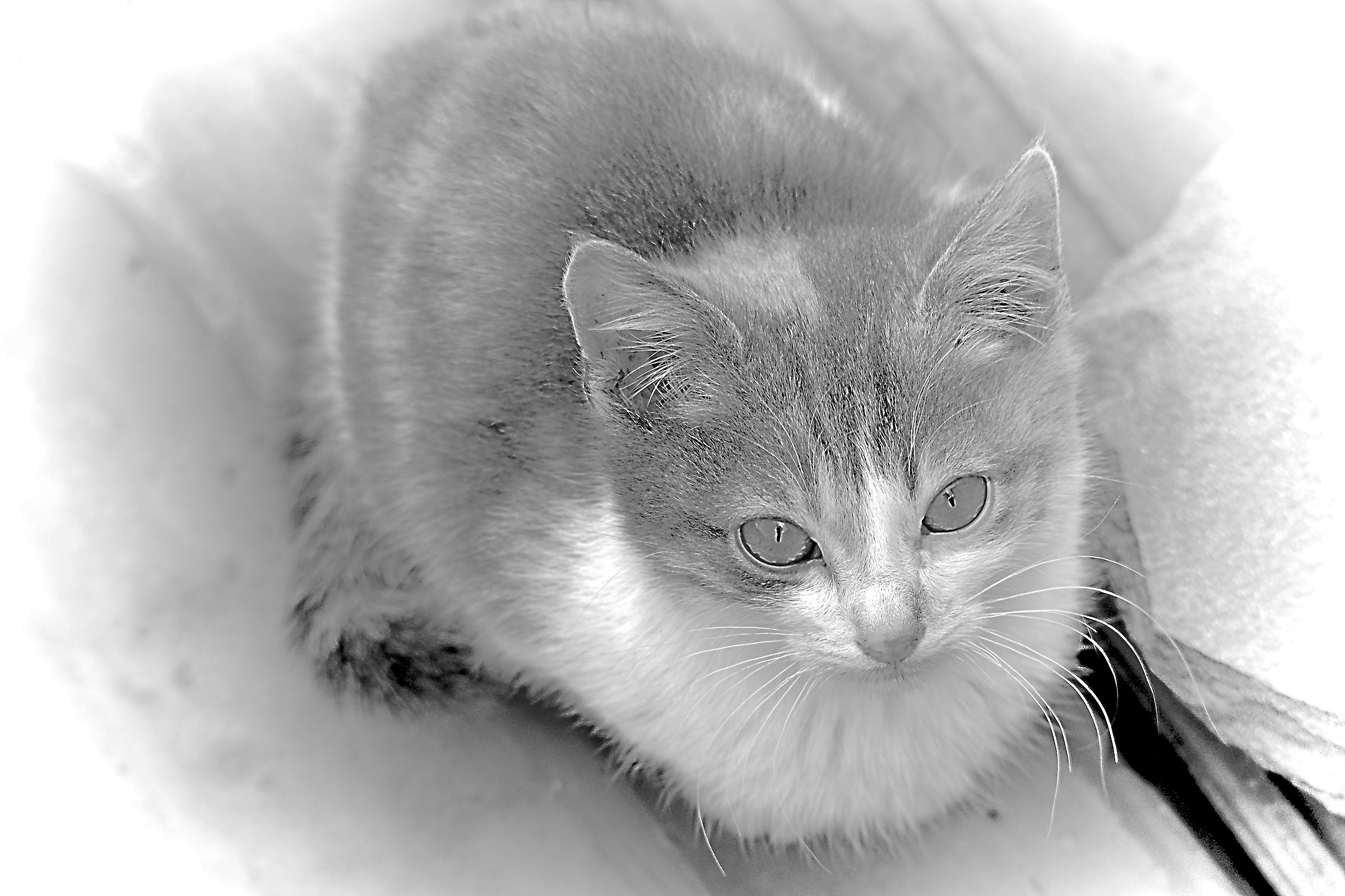 Schiara, dicembre 2017