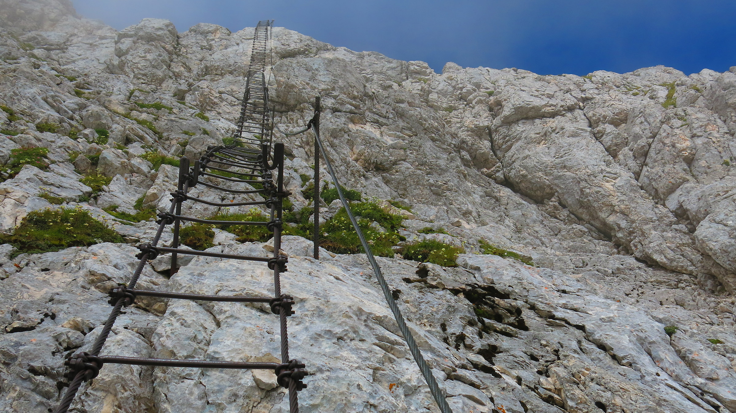 the ladder to the sky