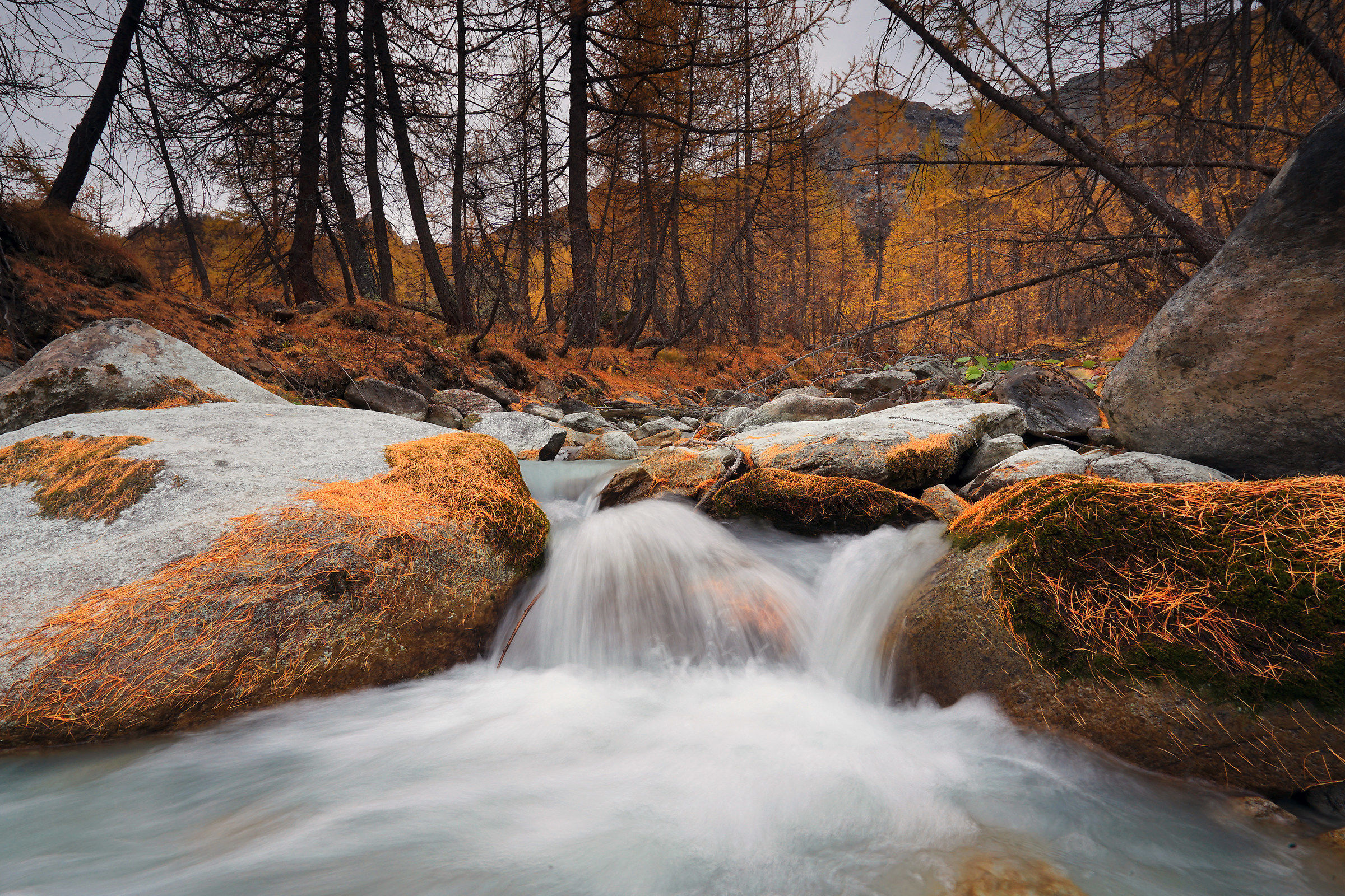 Pian of the mussa October ......