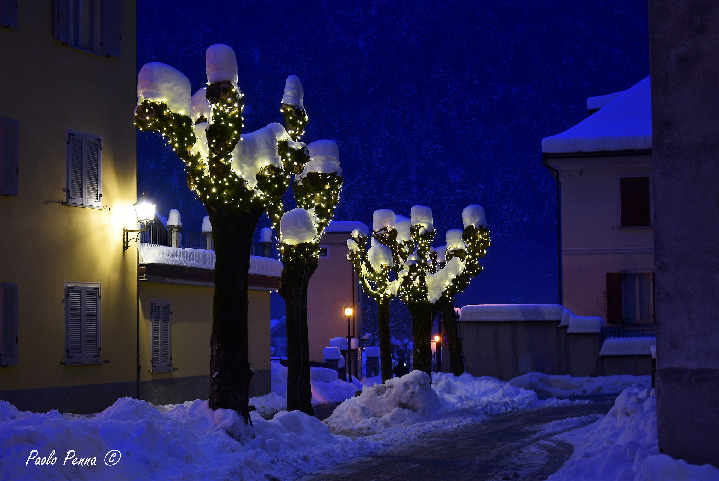 il silenzio della neve