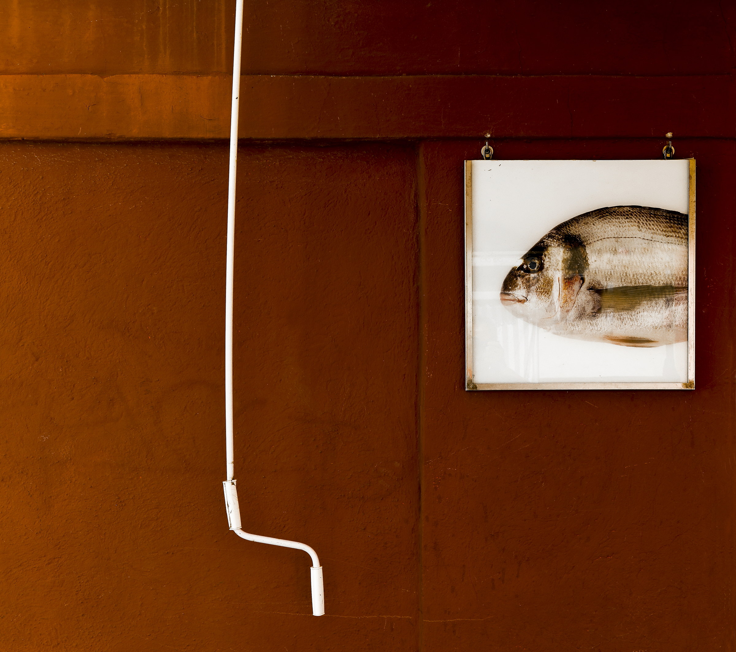 Abbocchera' a questa lenza?