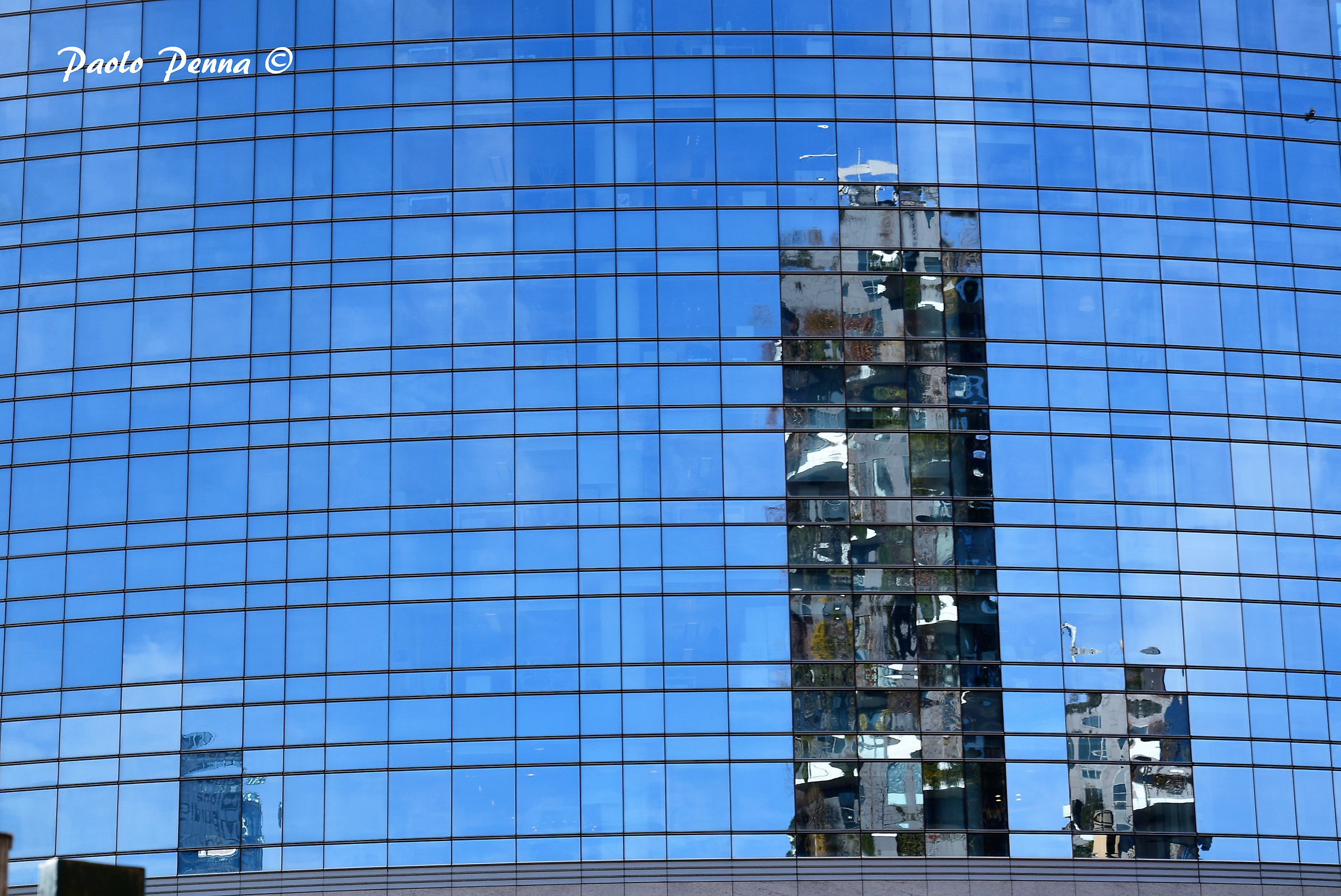 Bosco verticale riflesso