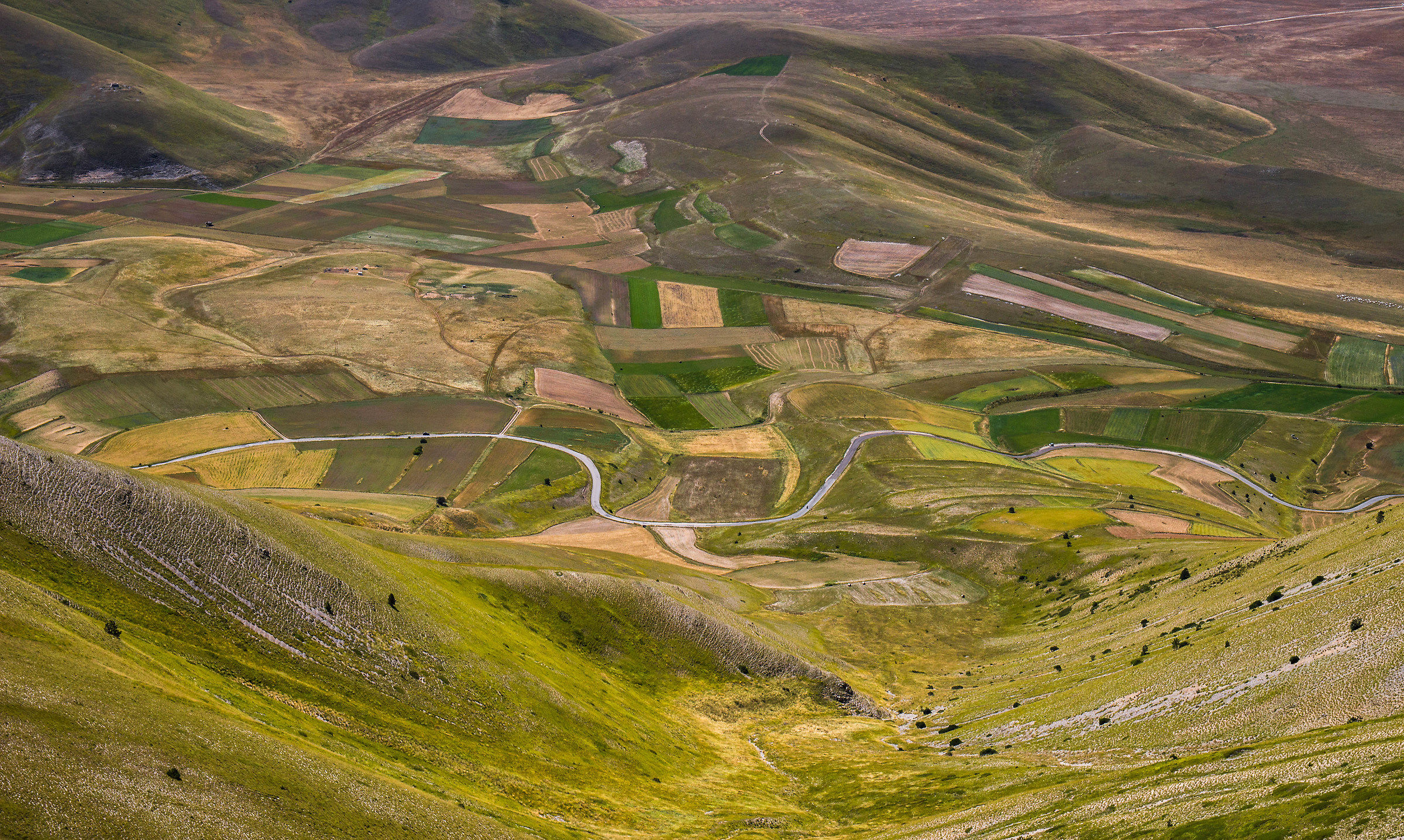 The fields of Castelluccio