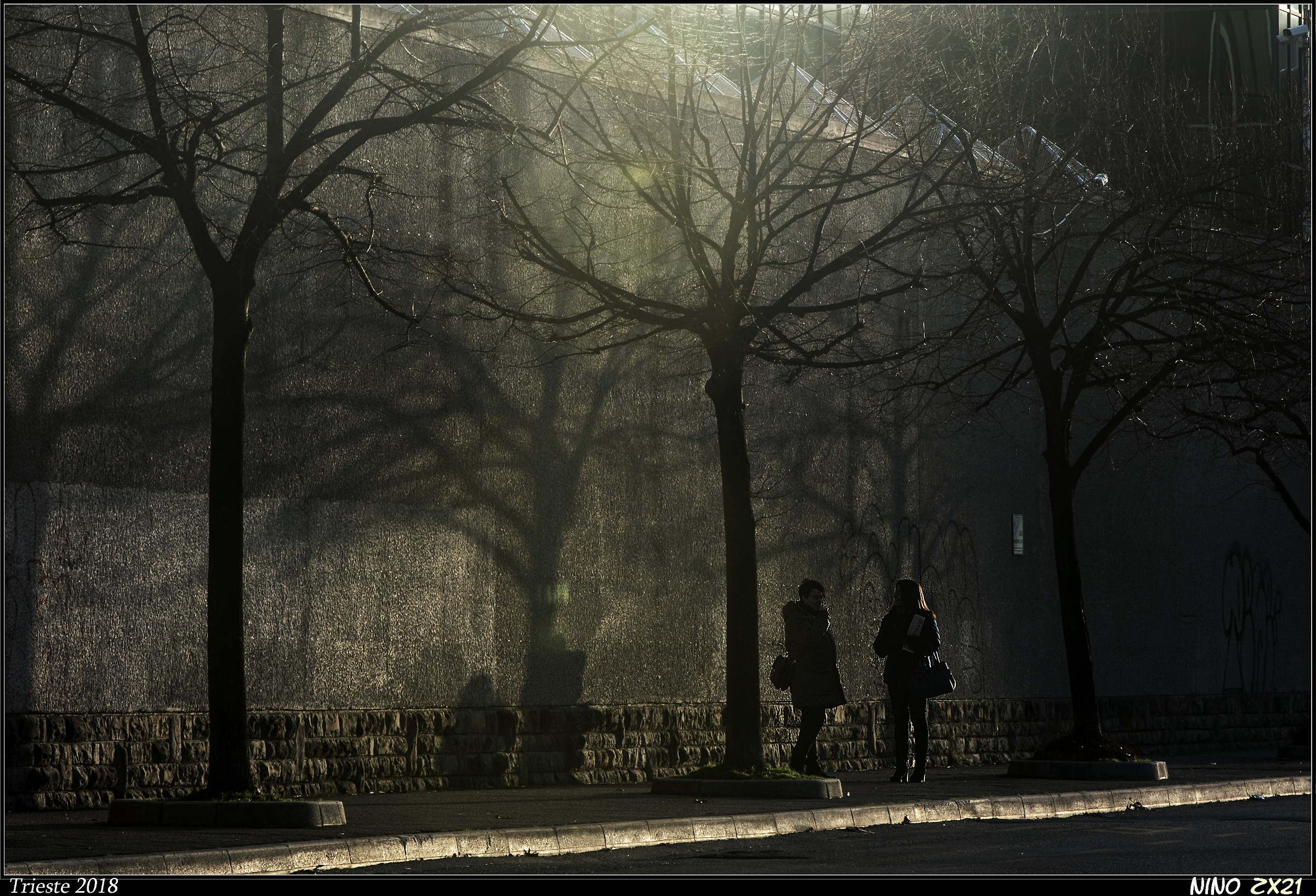Waiting in the stone forest