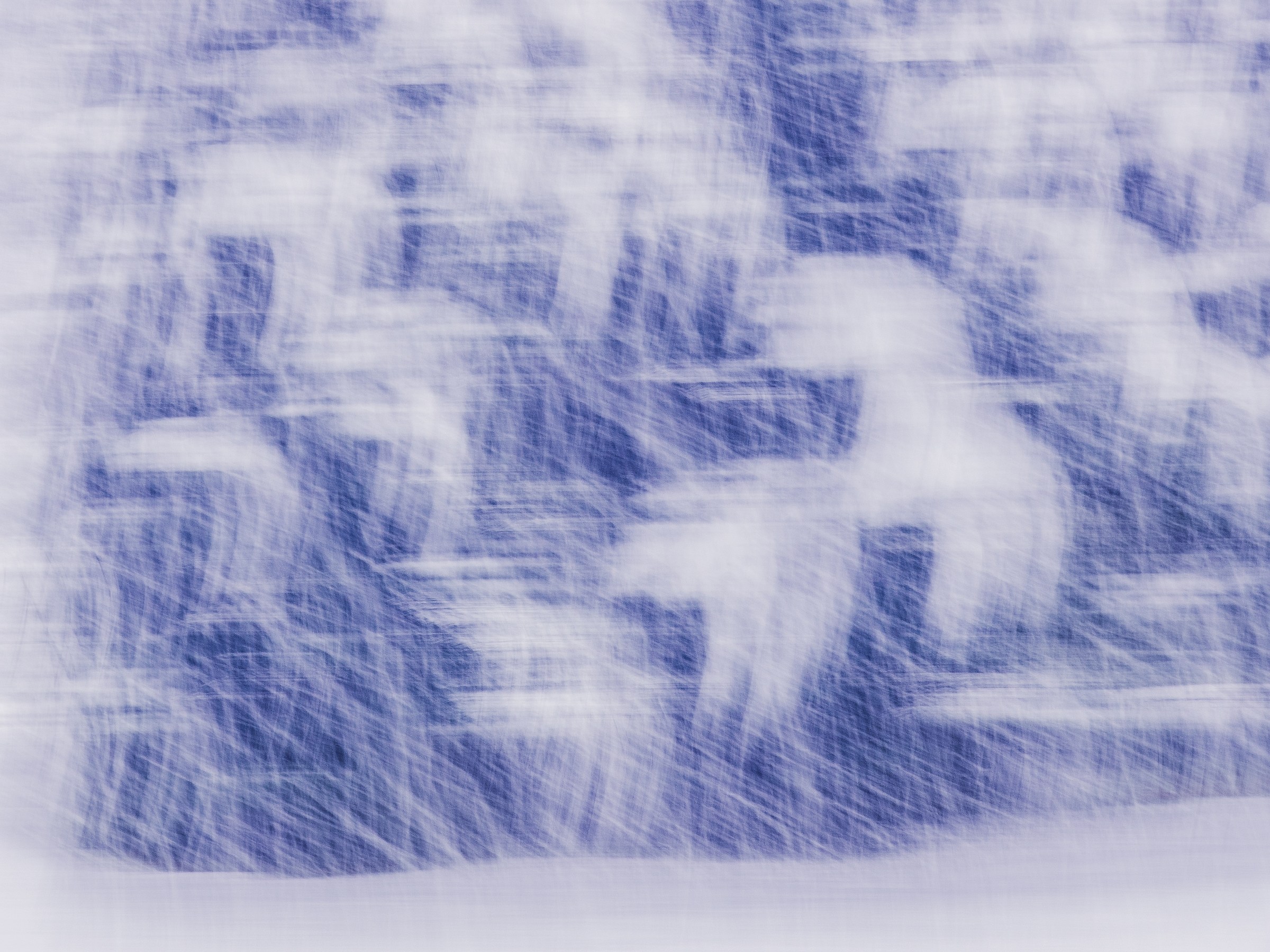 Battito d'ali ...di neve