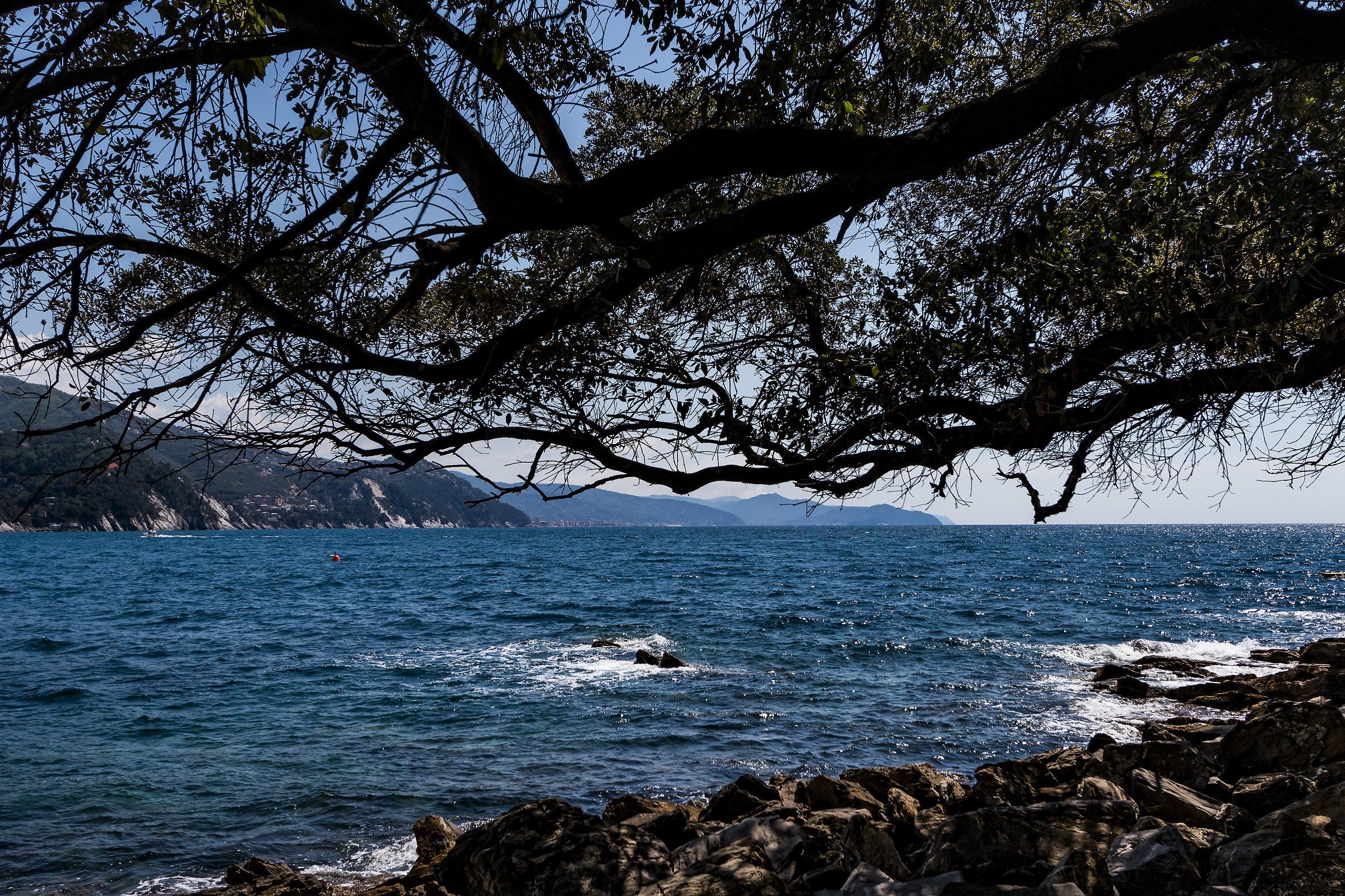 But the sea is always bluer