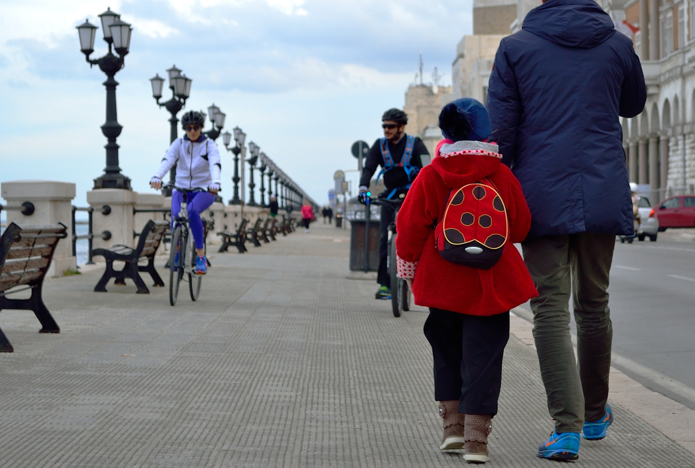 a ladybug on the promenade