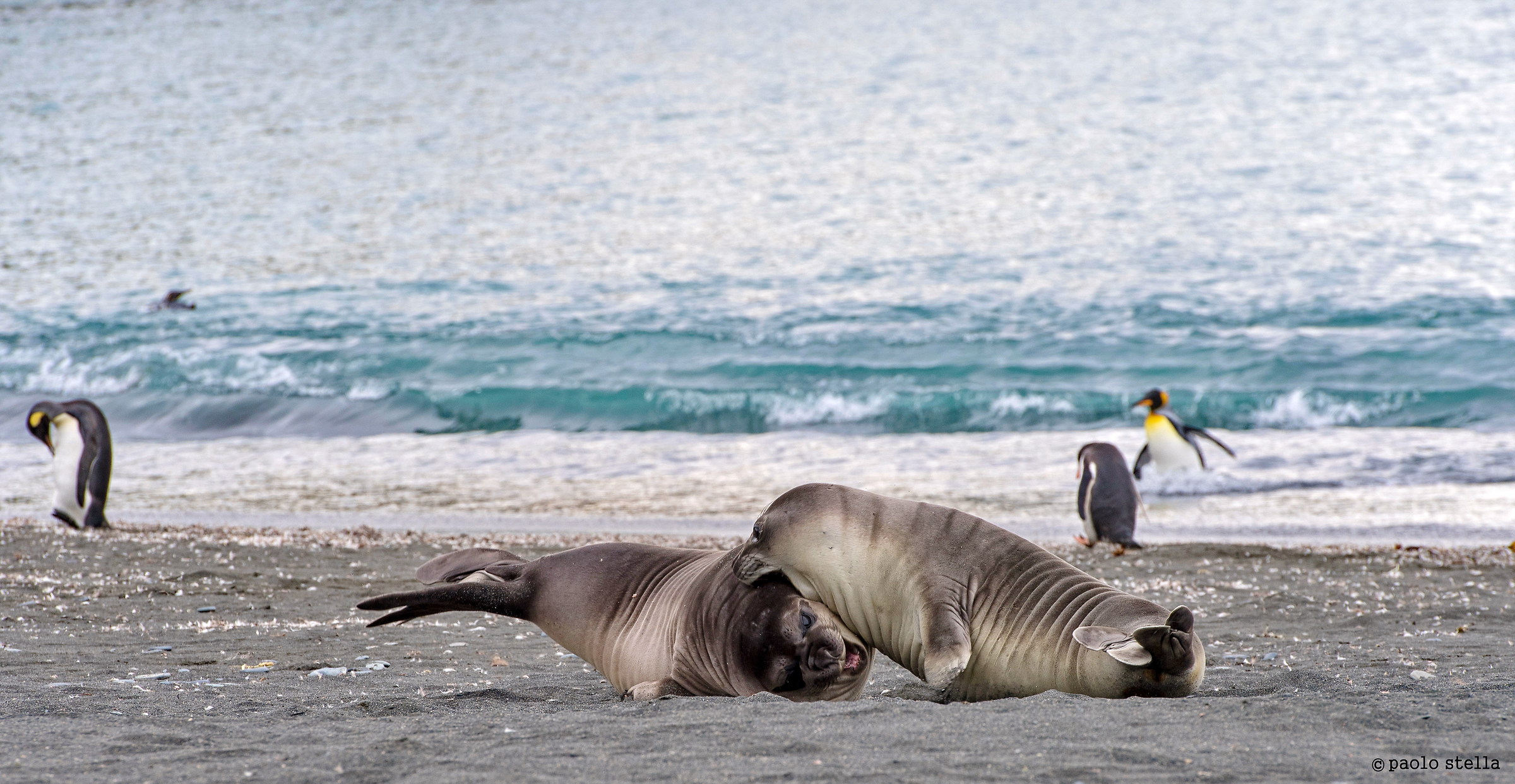giochi sulla spiaggia