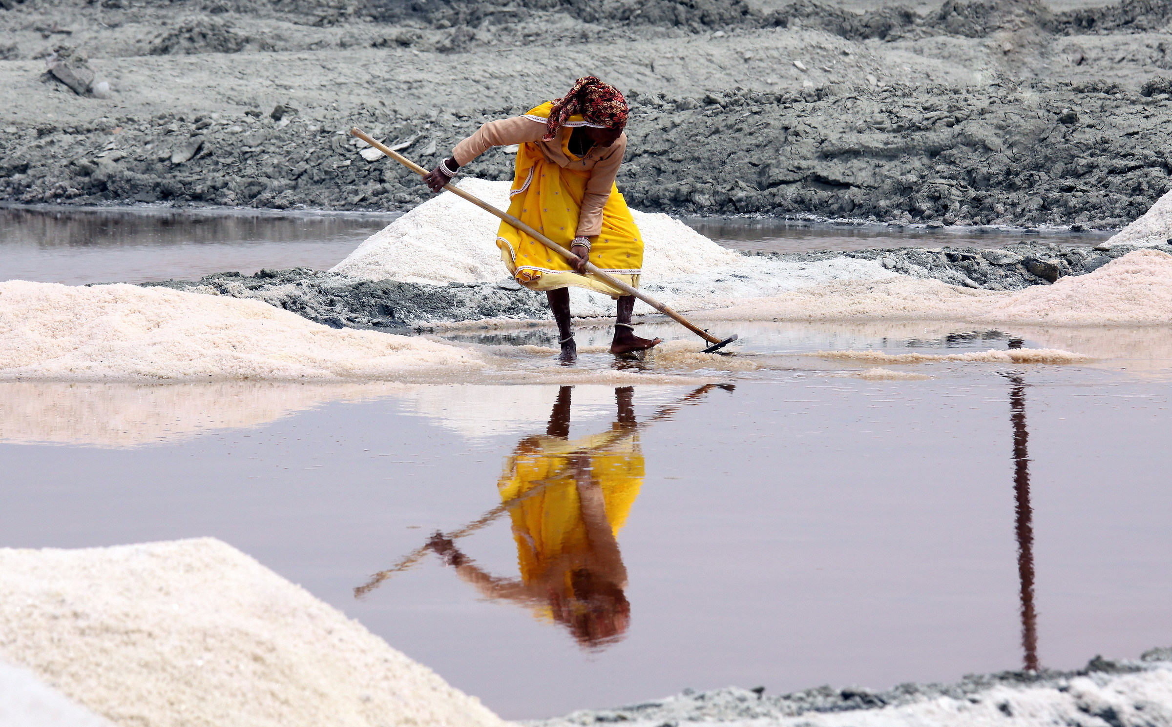 779 (2) Saline Sambhar Salt Lake-Jaipur