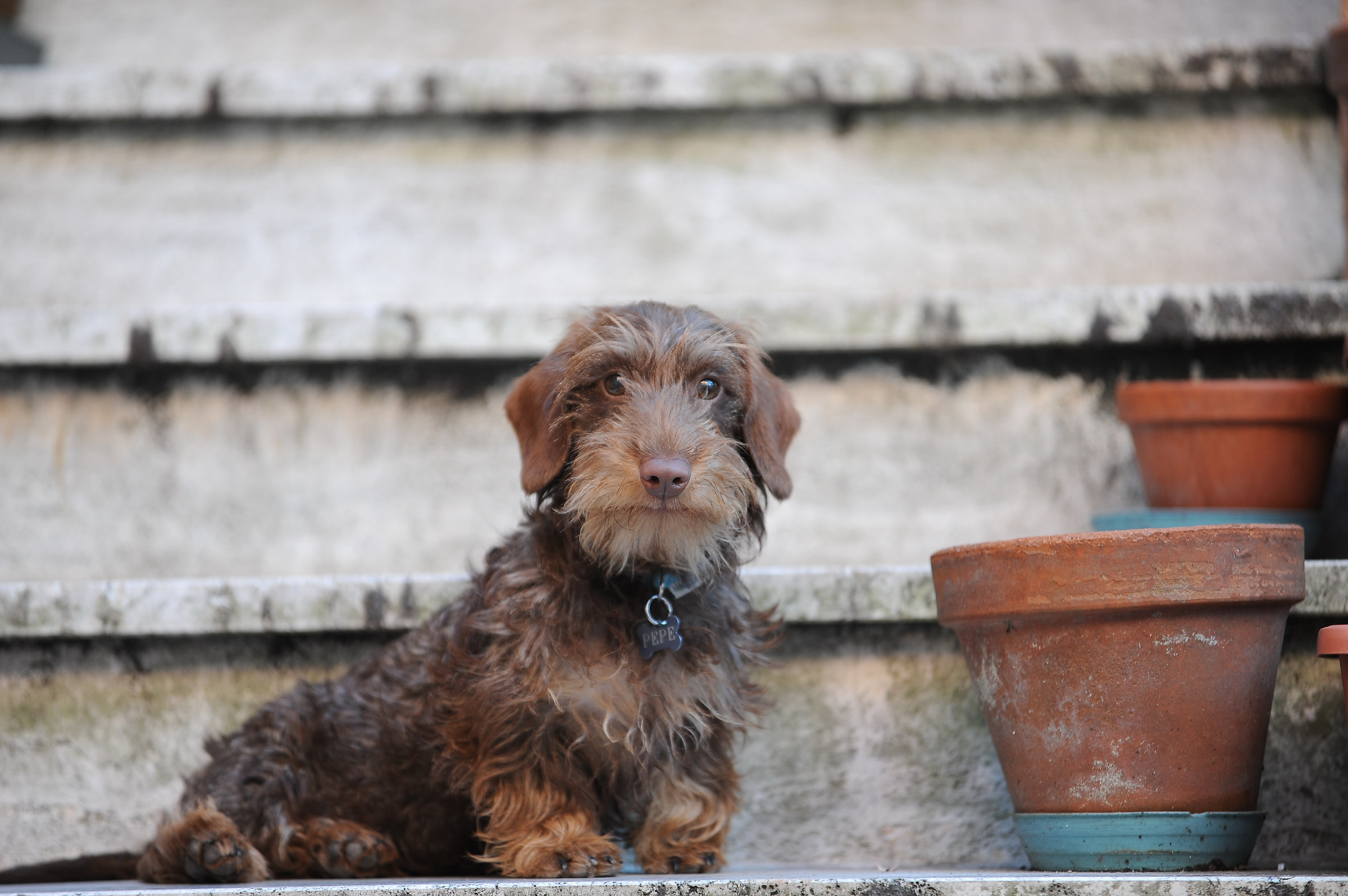 questa: e' casa mia. e' chiarooo??????????????