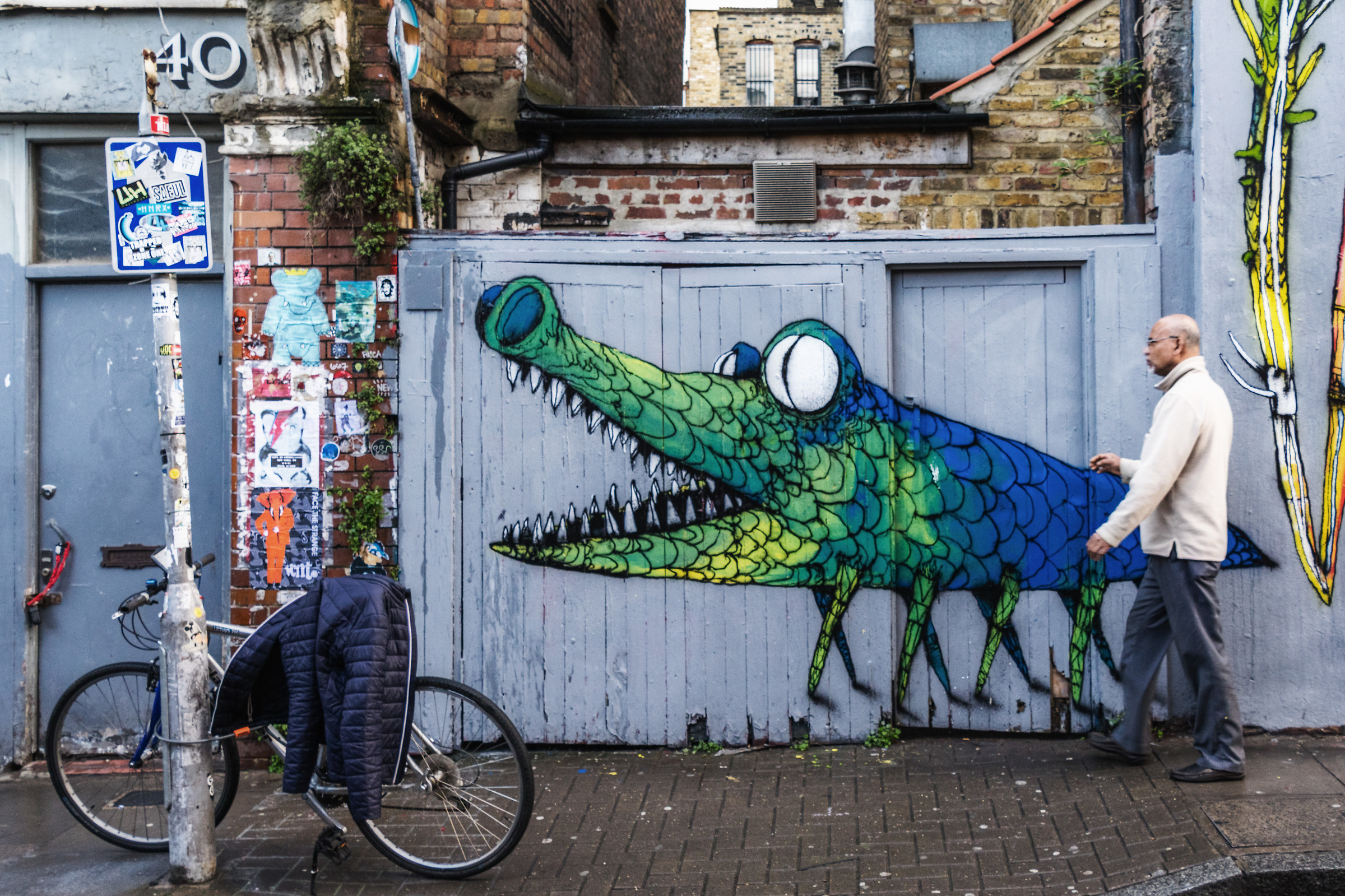 Do You Think He's Tame???