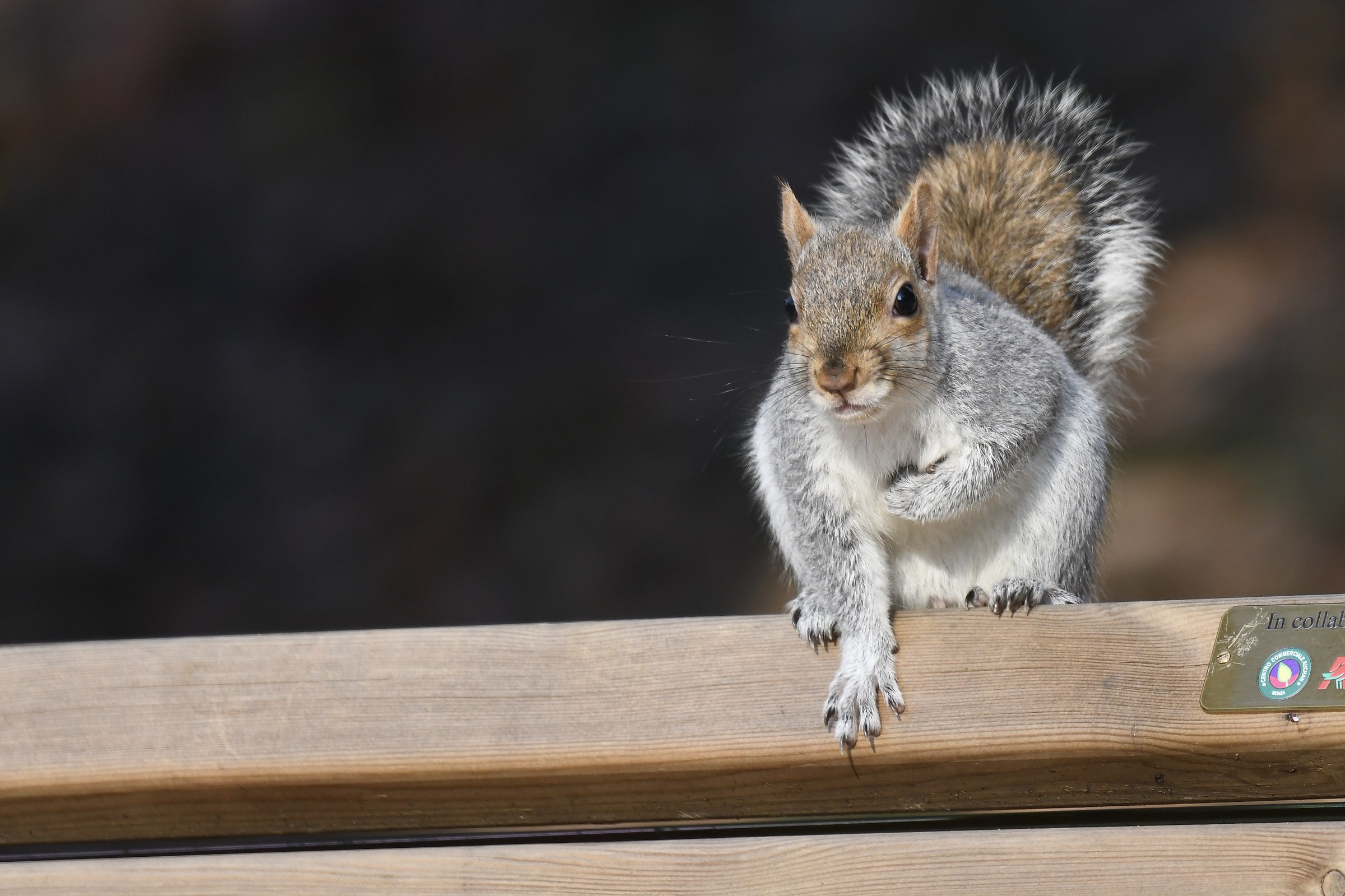 Scrutinizing the danger