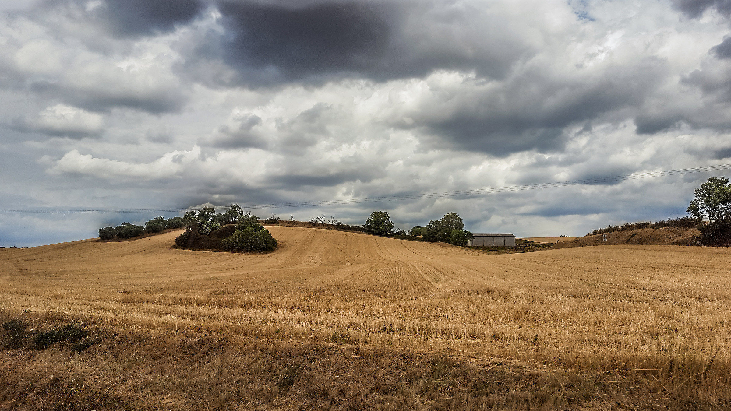 Valensole (Provenza)