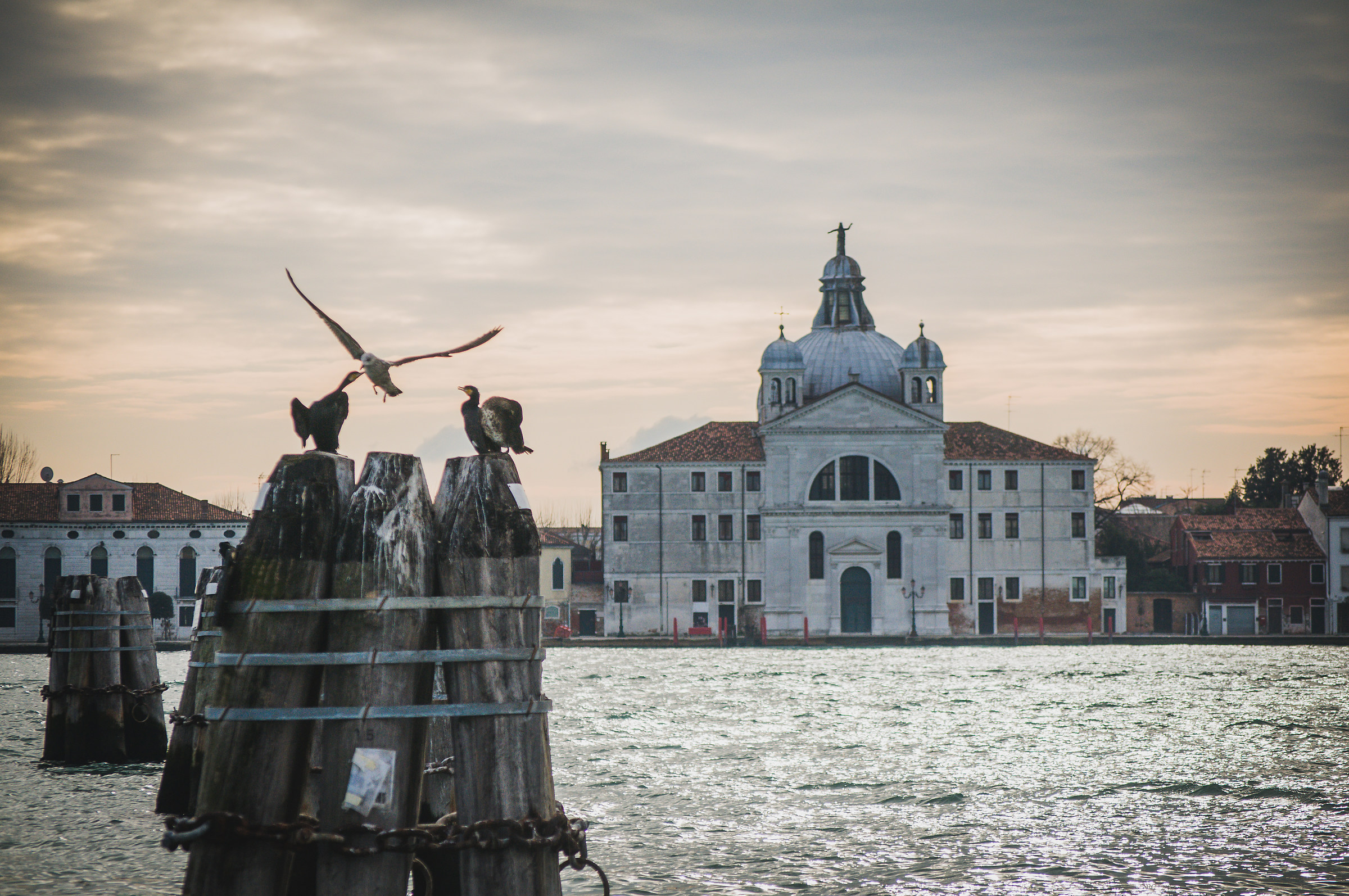 Venice Landscape