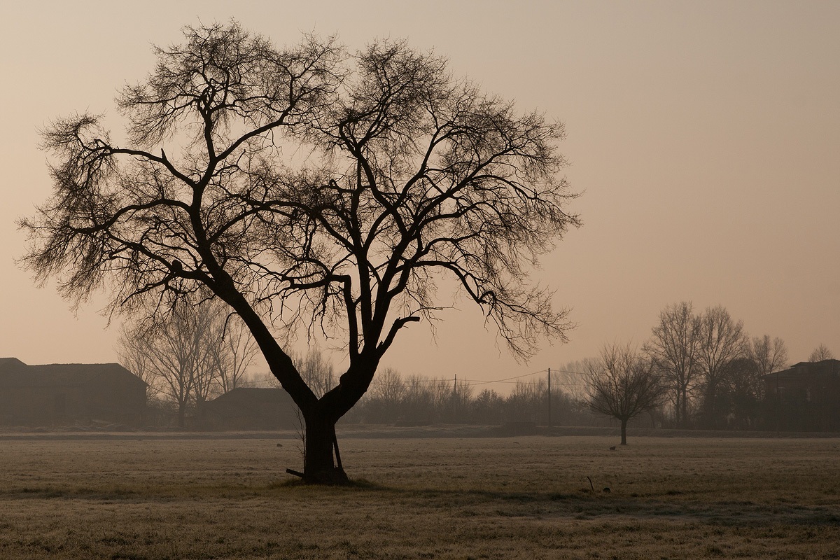 Low Emilian countryside
