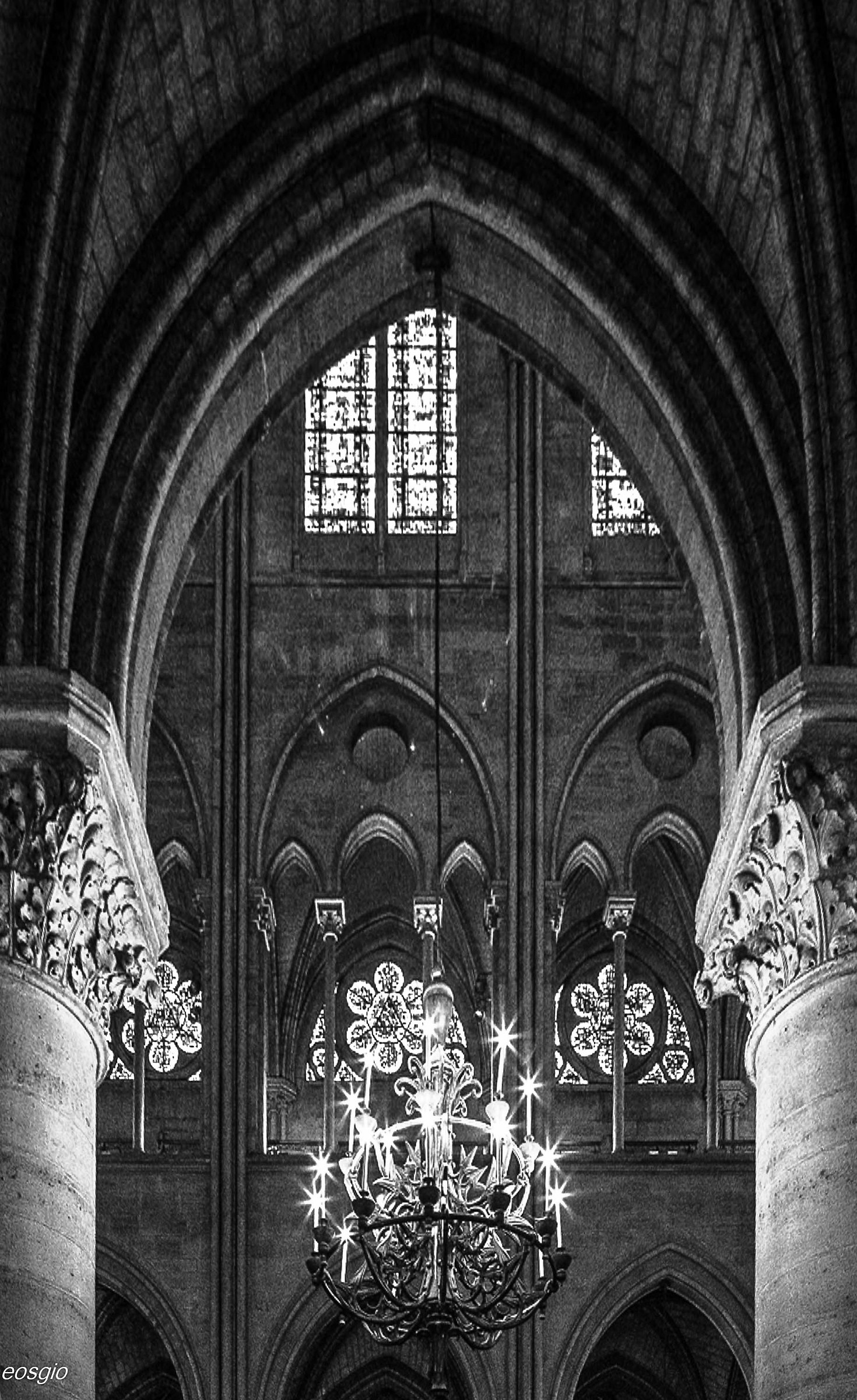 Inside Notre Dame