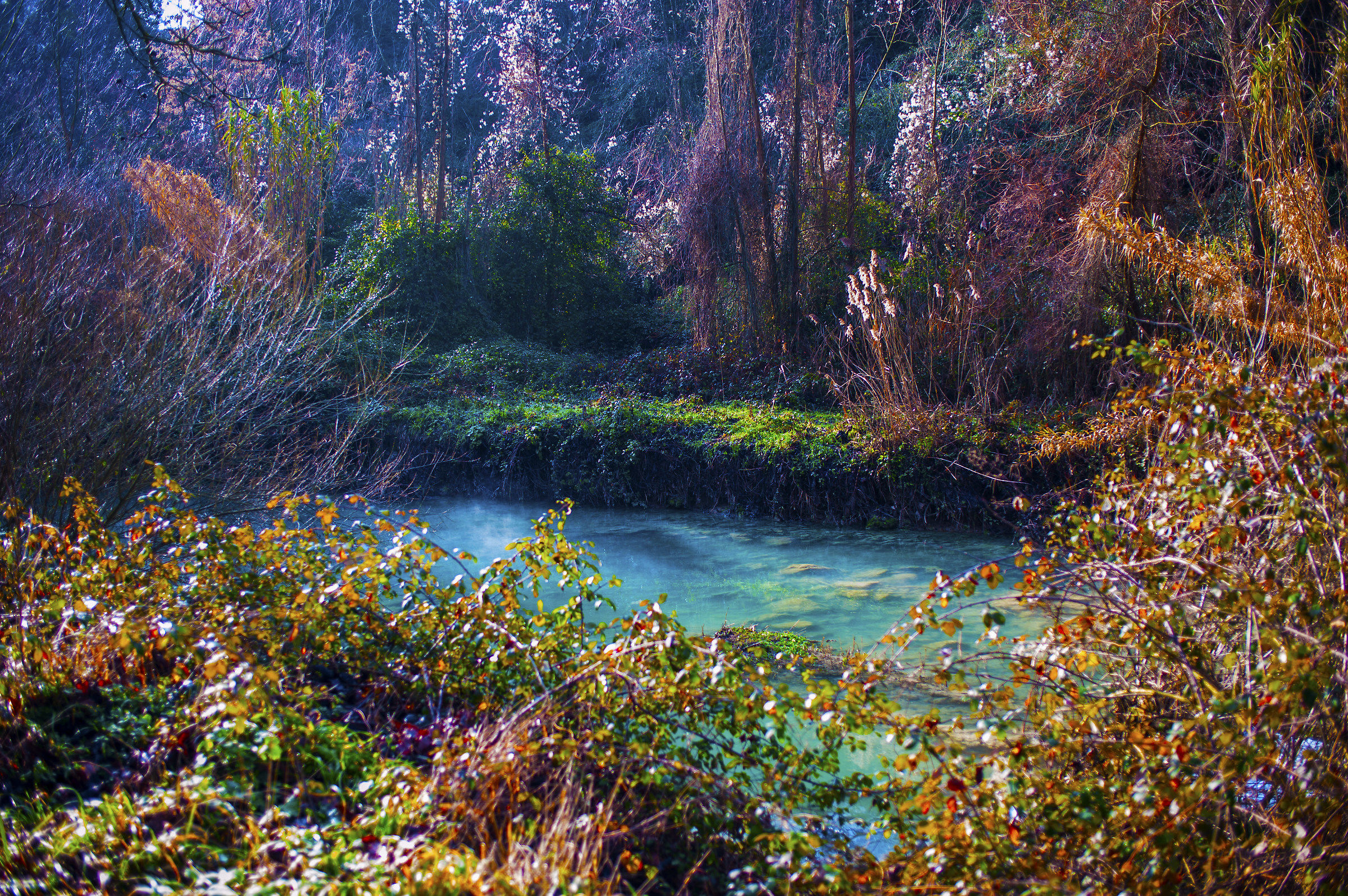 The colors of nature