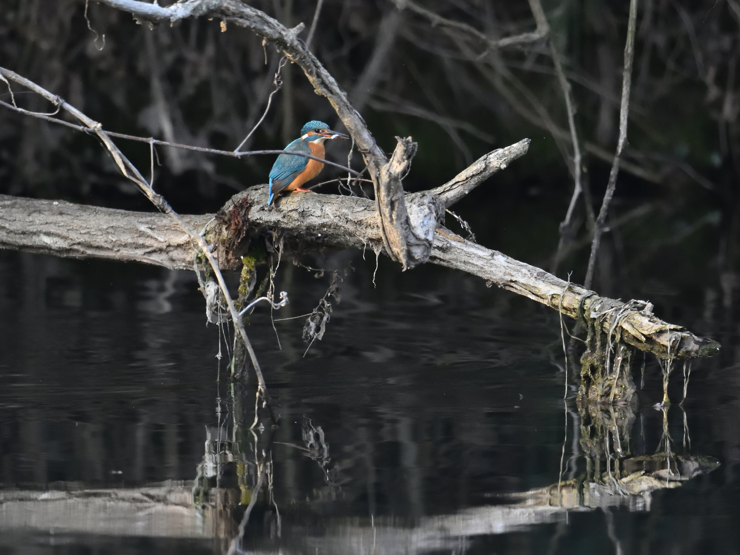 Lo scatto migliore del pomeriggio