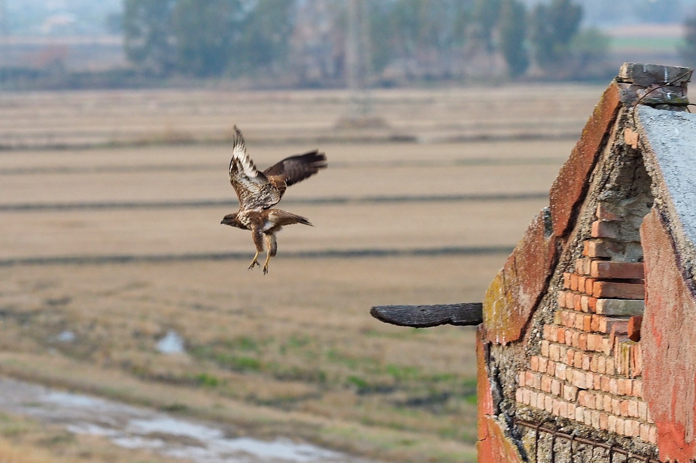 It always does this.