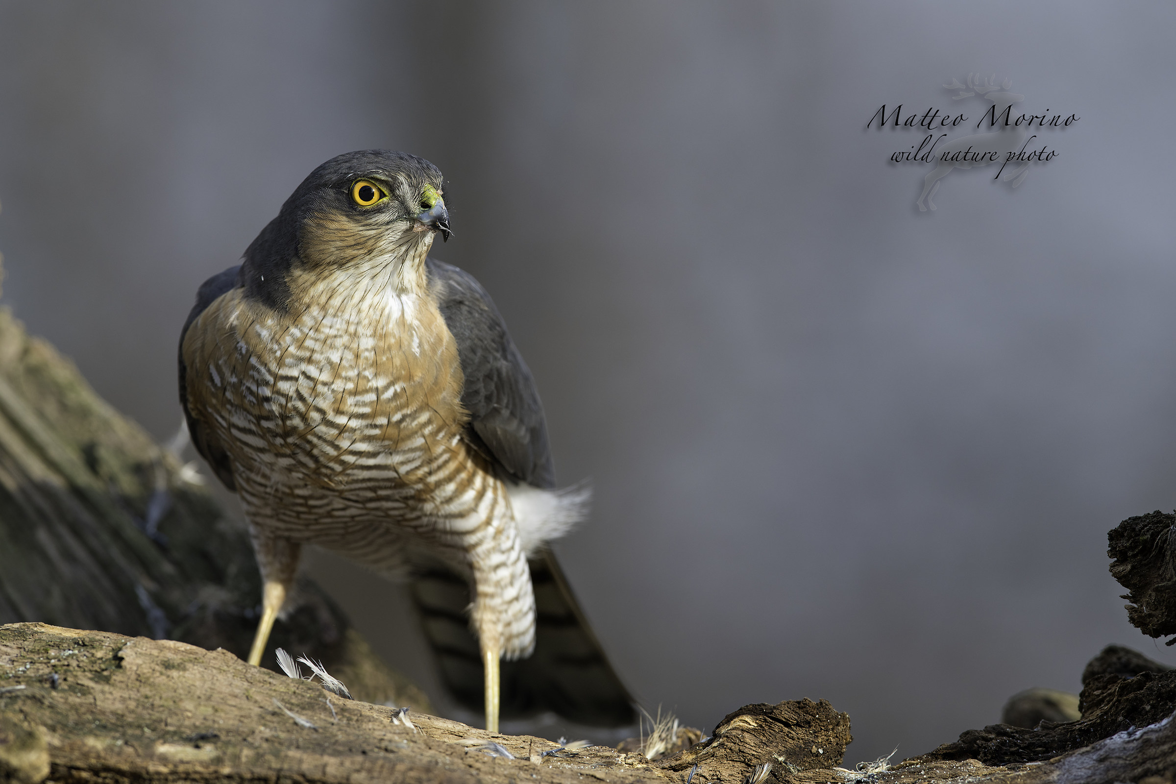 Senza alcuna via di scampo...