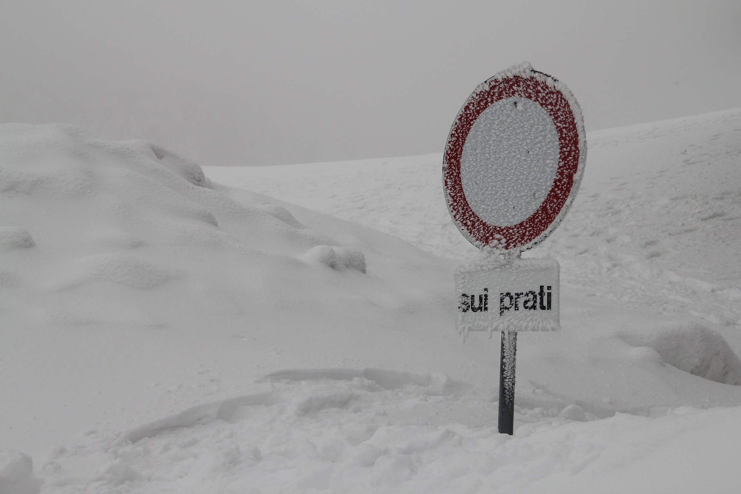 Le regole sono regole!