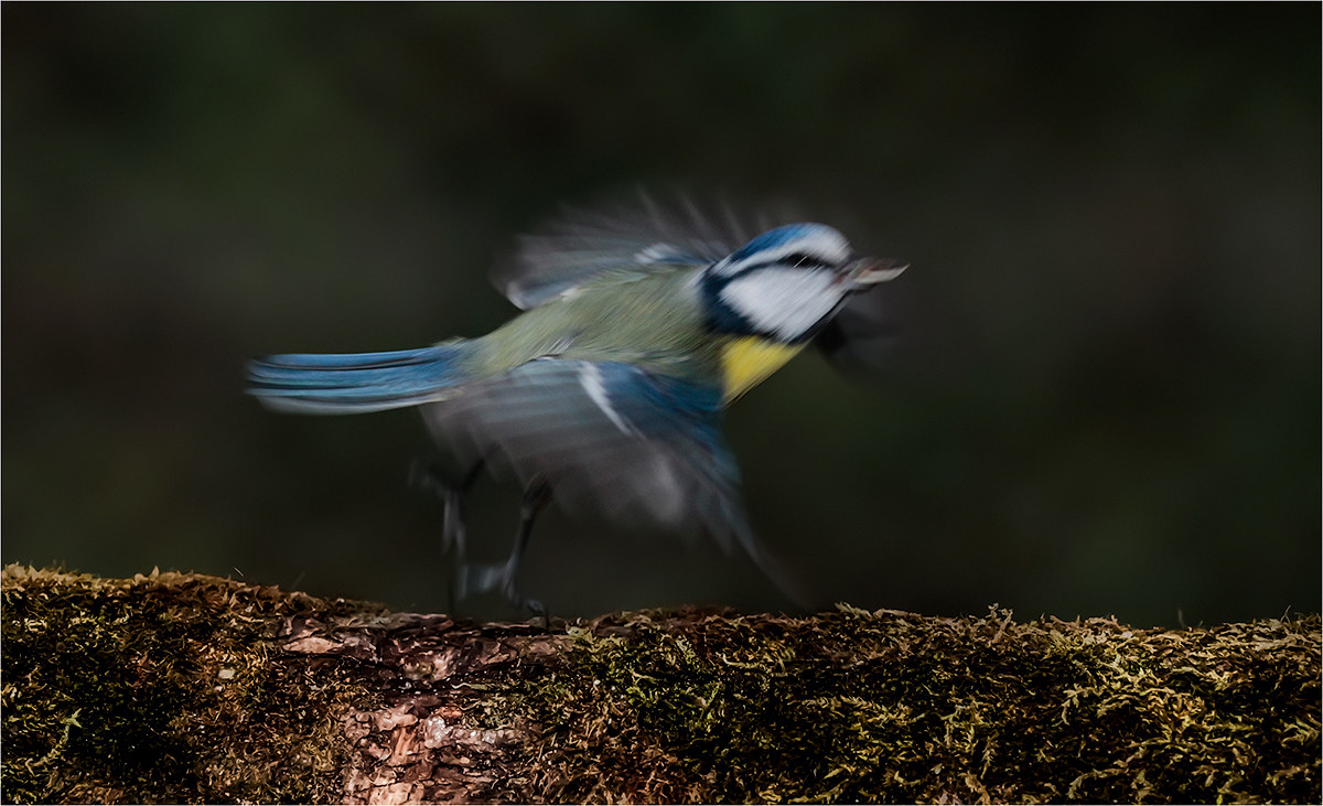 Dreaming of the moment