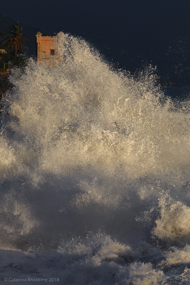 Nervi tra le onde