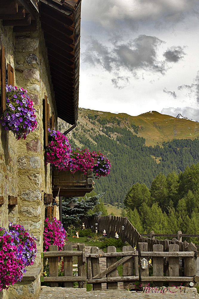 Flowered balconies Federia (Livigno)
