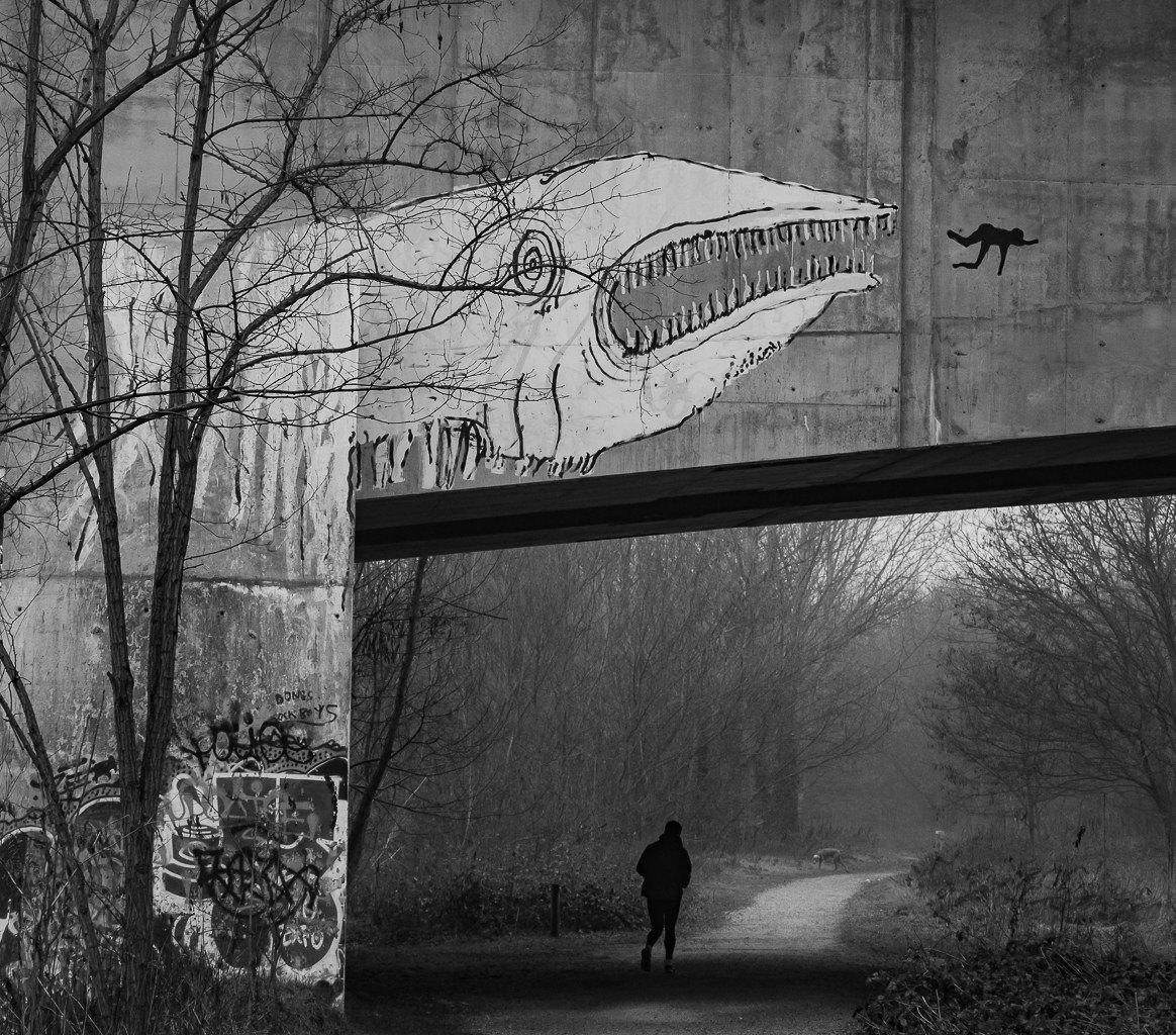 Escape from Jurassic Park