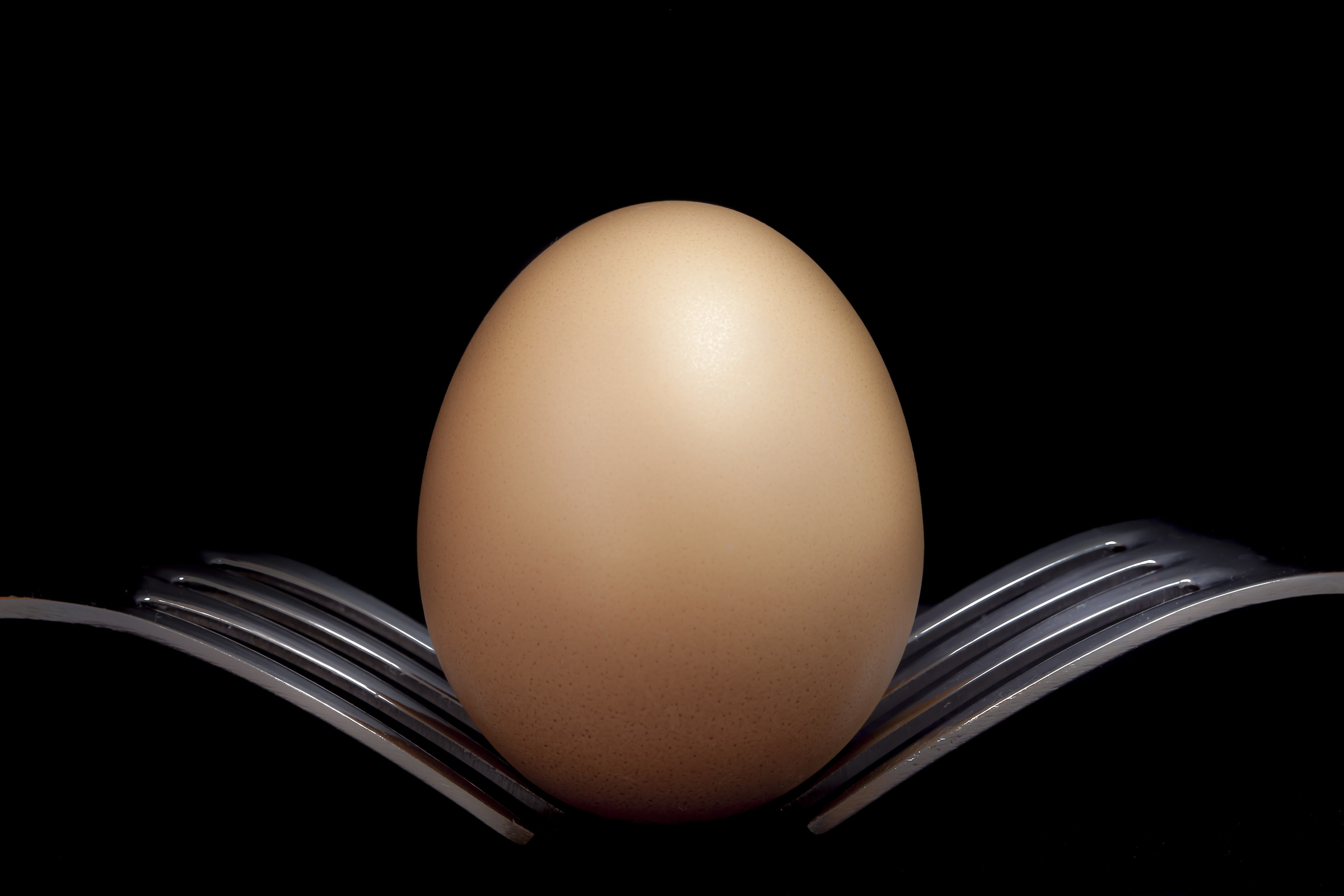 Egg