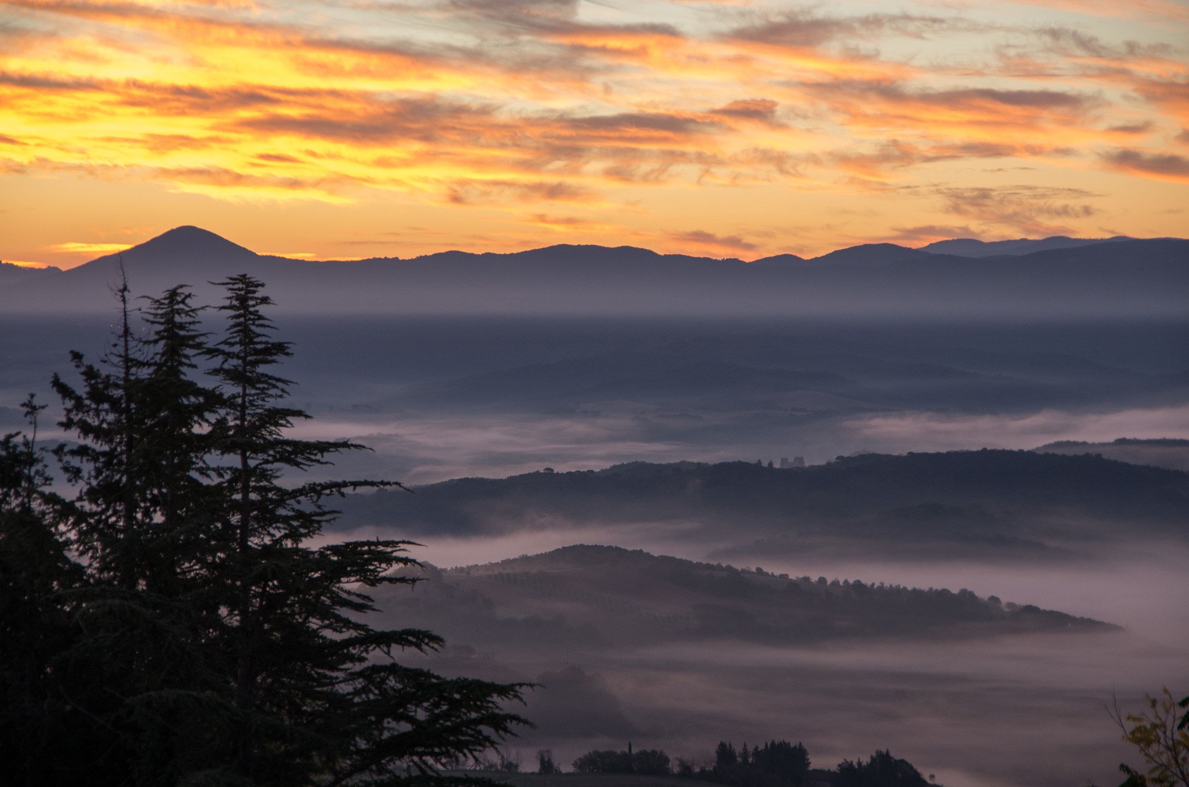 Alba from Guardistallo